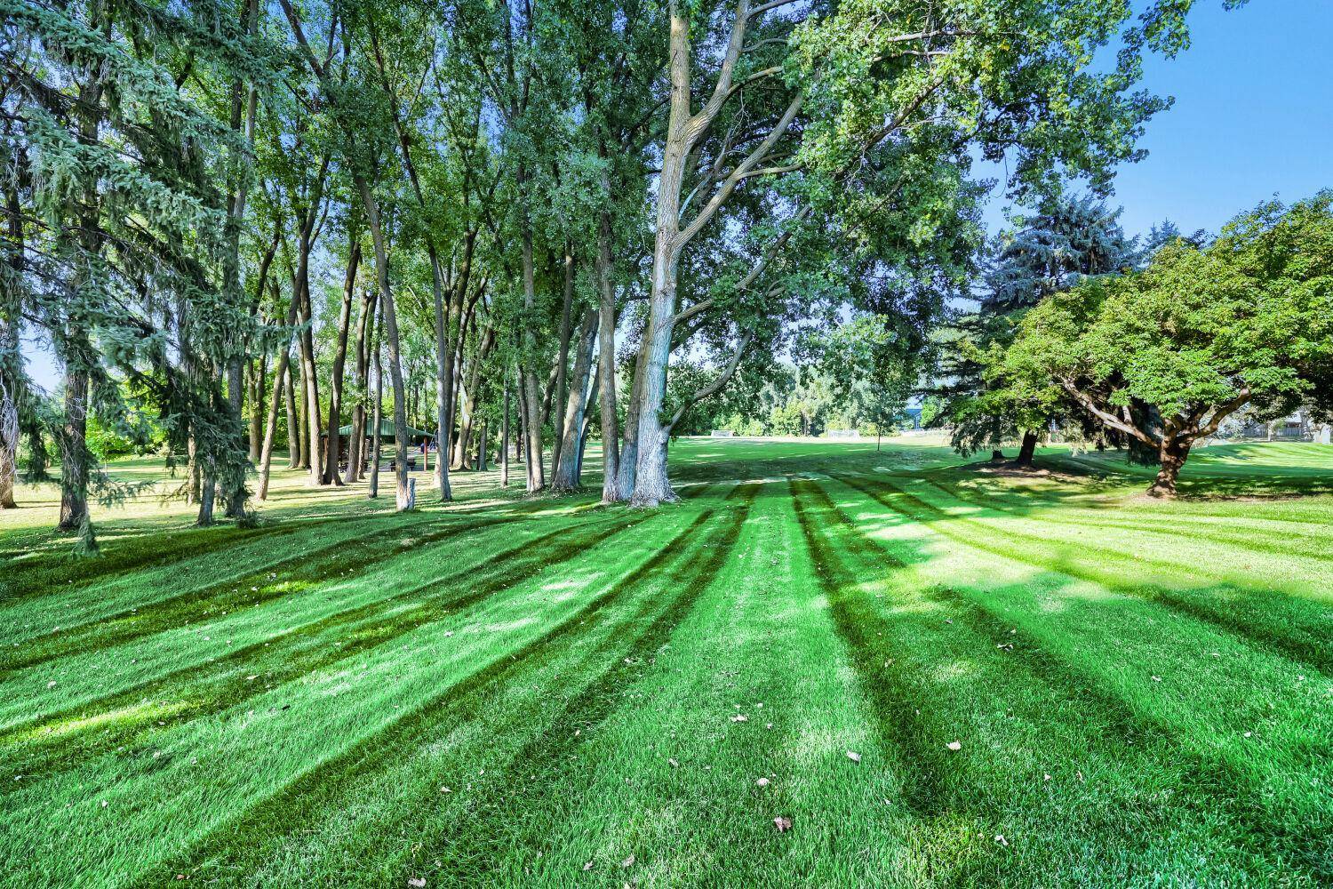 4190 White Bear Pkwy #1207, White Bear Lake, MN 55110