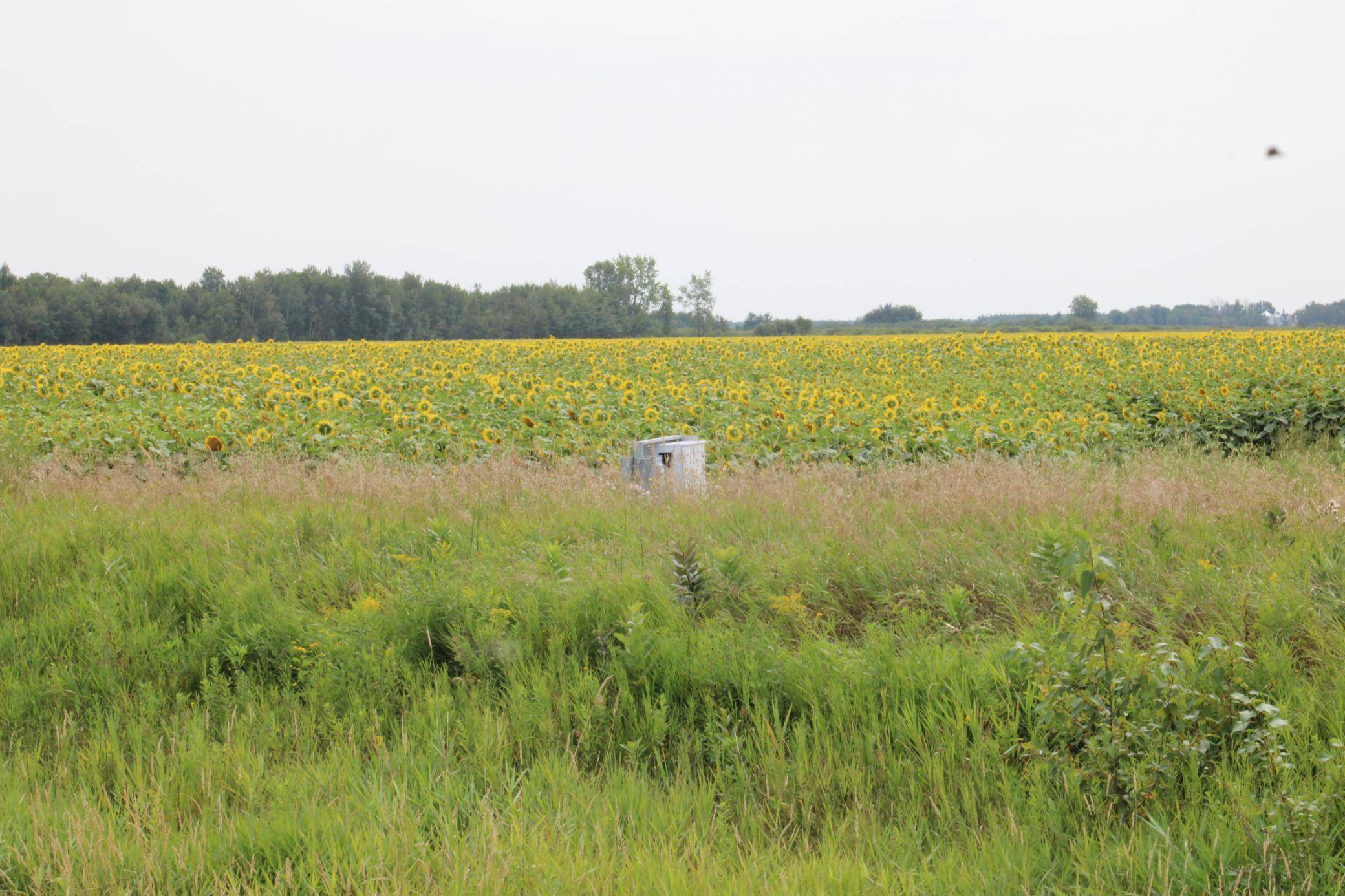 000 State Hwy 219, Goodridge, MN 56725