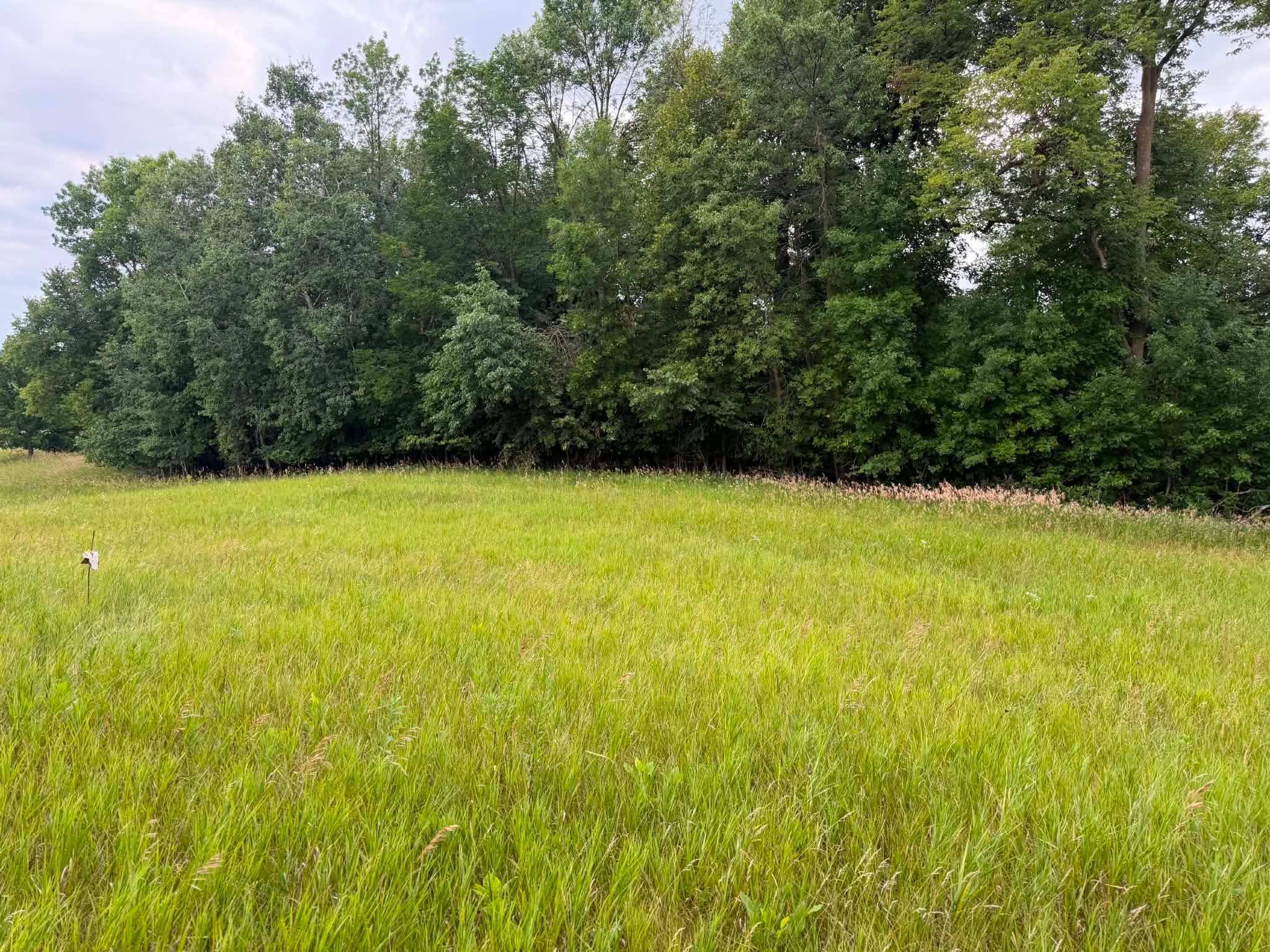 TBD 405th AVE NW, Braham, MN 55006