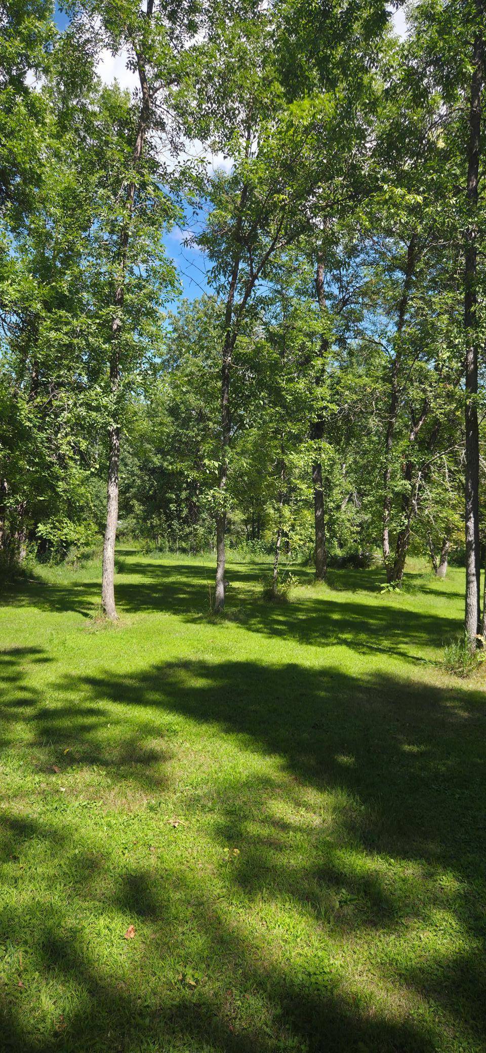 305 5th AVE W, Federal Dam, MN 56641