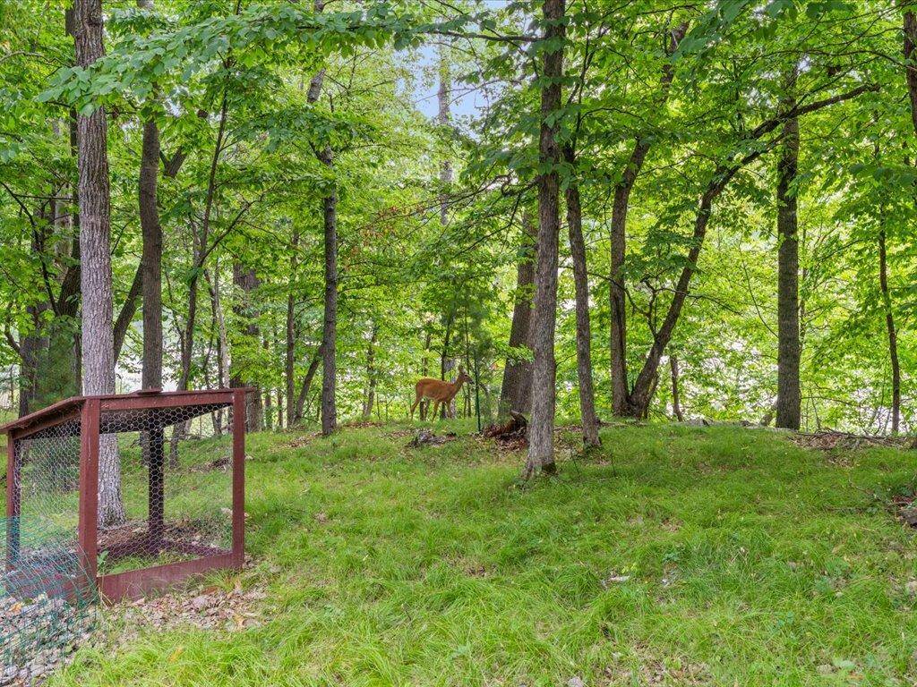 7738 Lost Lake RD, Nisswa, MN 56468