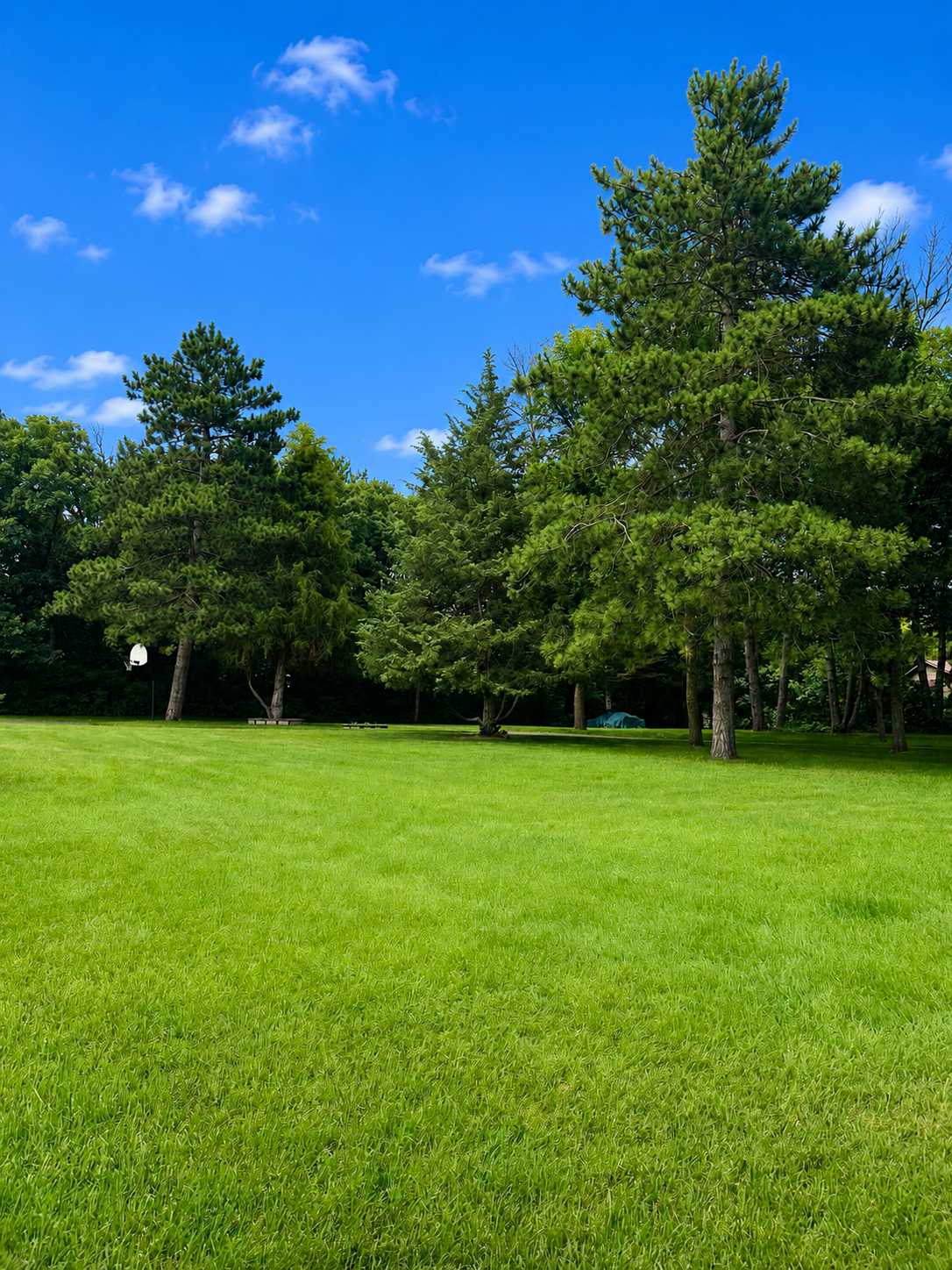 26886 147th ST NW, Zimmerman, MN 55398