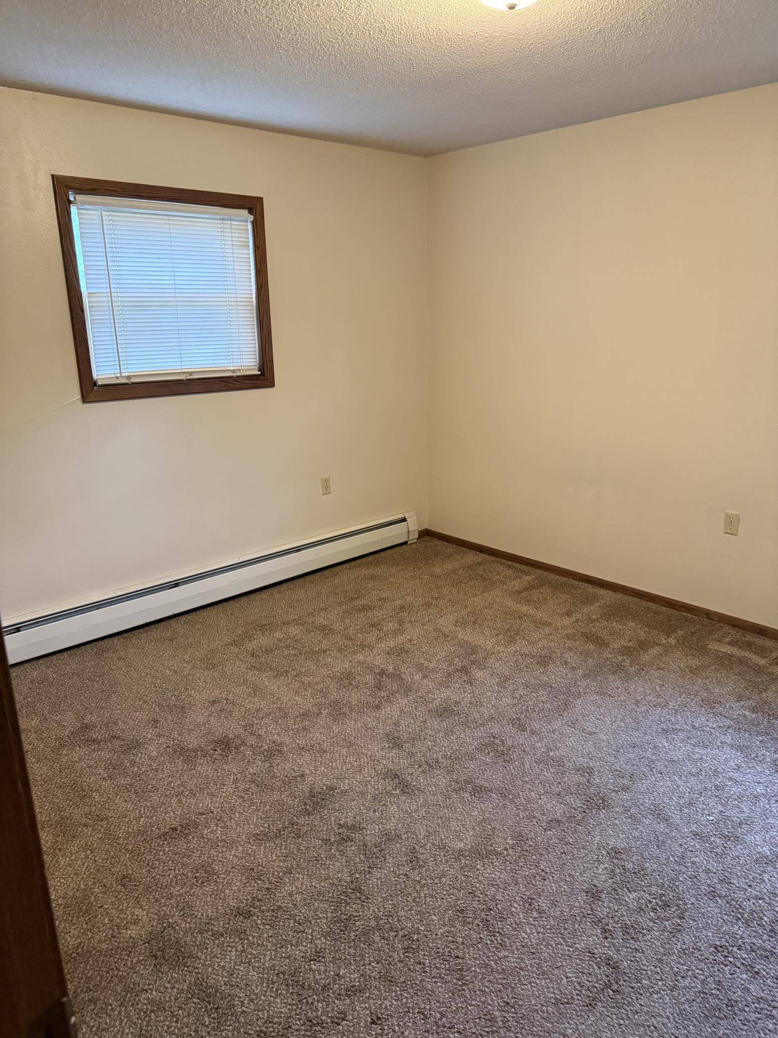 305 N Van Buren AVE, Springfield, MN 56087