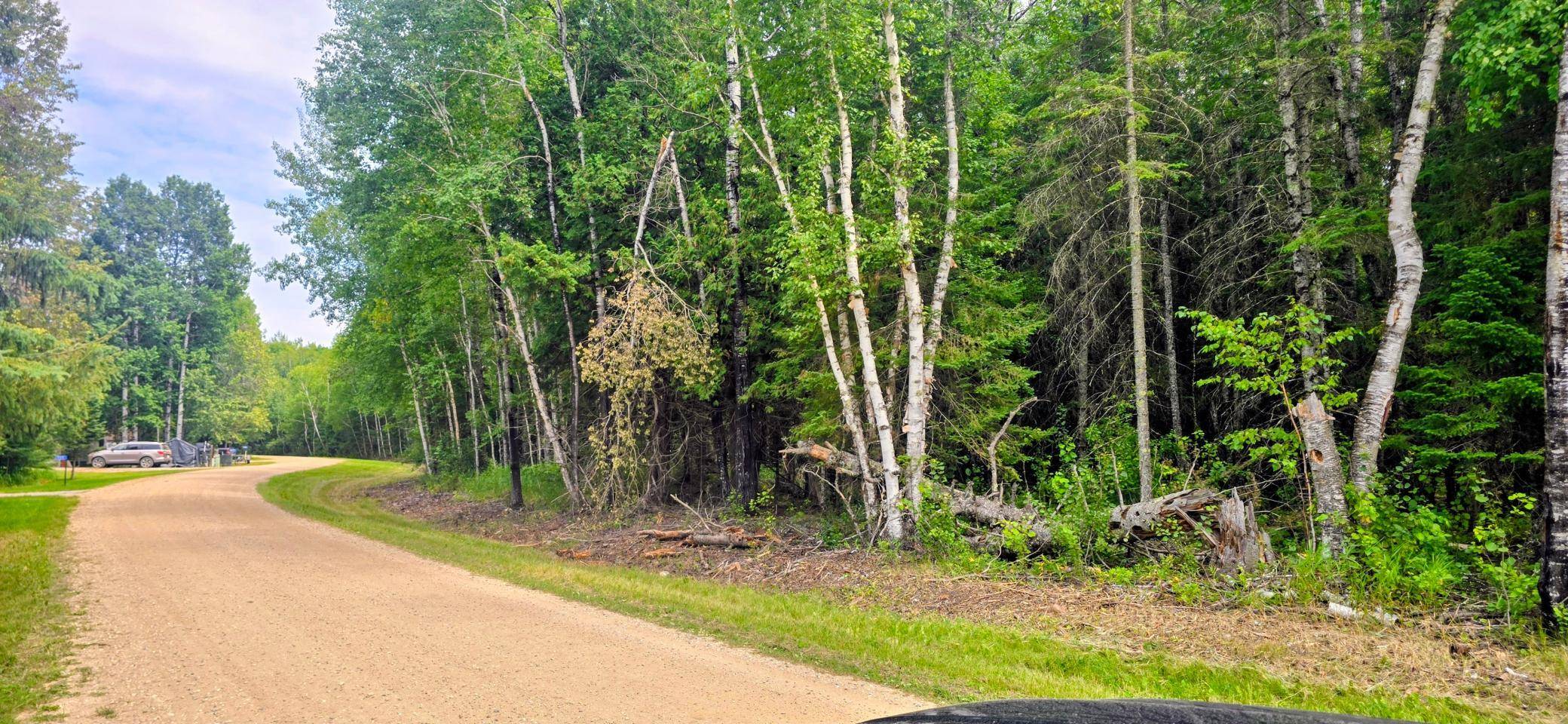 TBD Dawson RD NW, Angle Inlet, MN 56711
