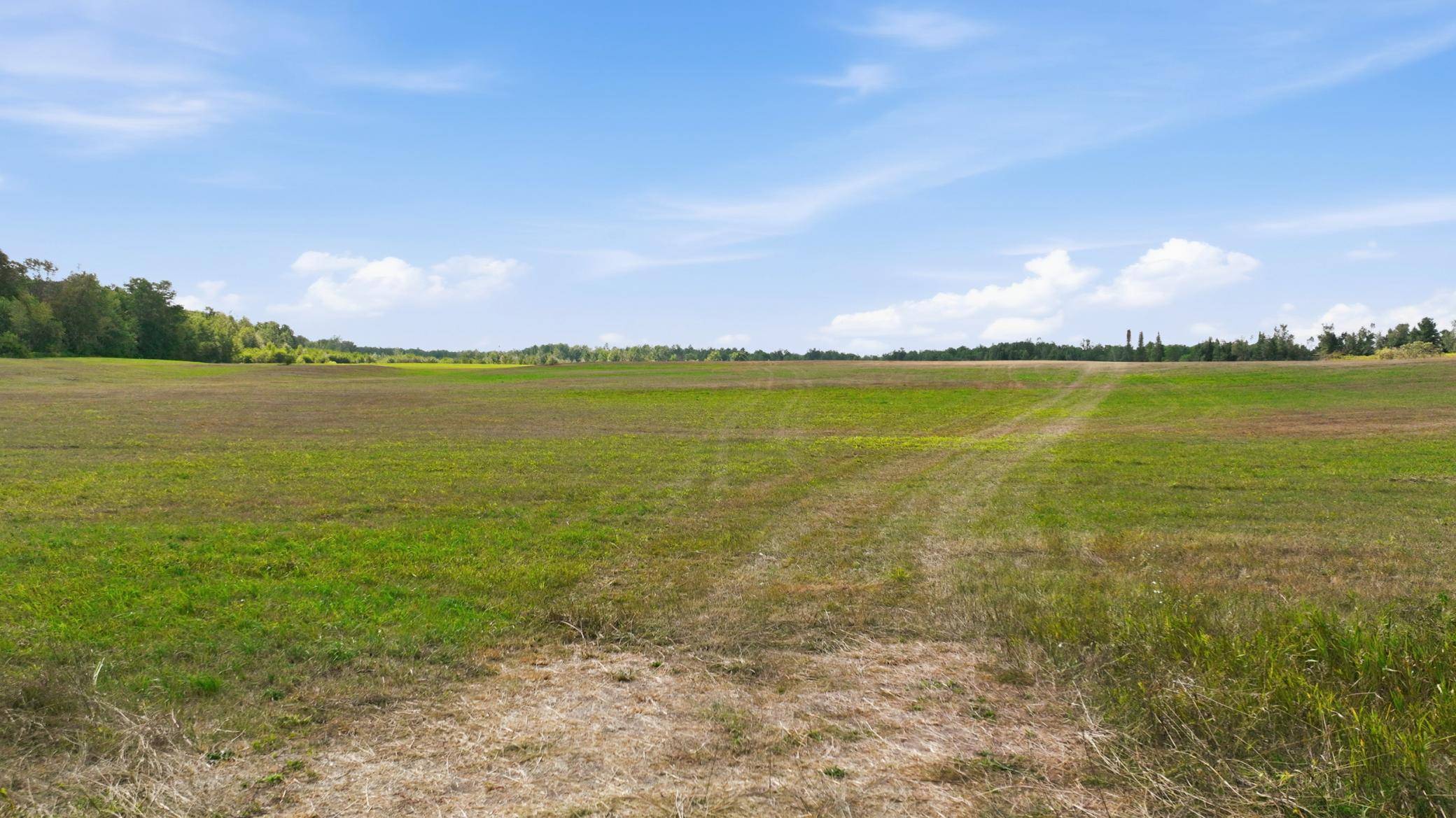 10 Acres State Hwy 40, Bruce, WI 54819