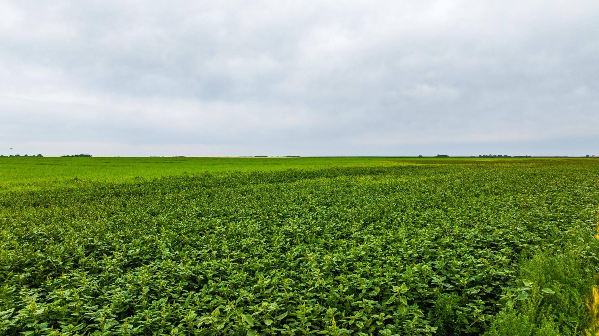 TBD 94 St NE, Bottineau, ND 58318