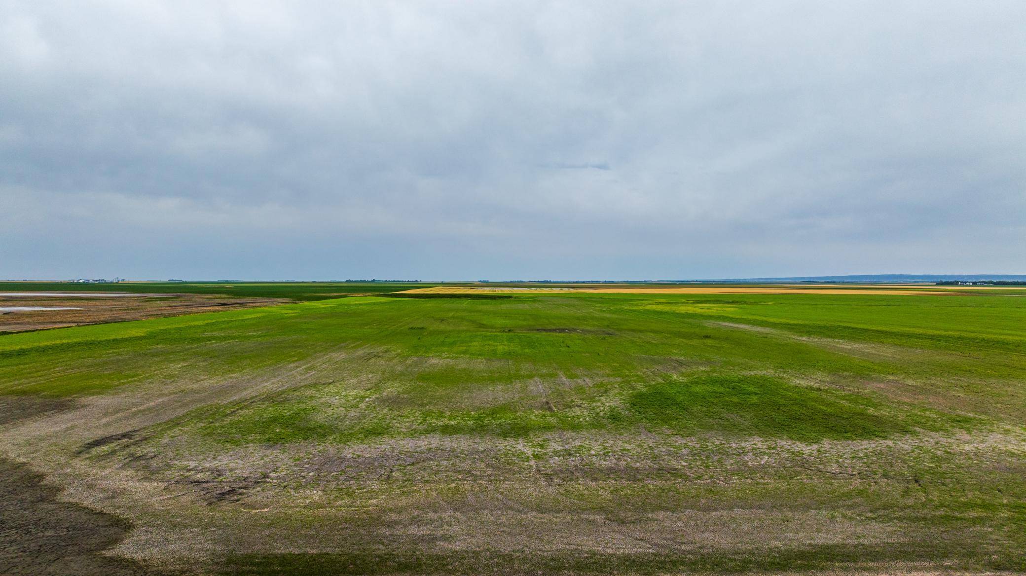 TBD 94 St NE, Bottineau, ND 58318