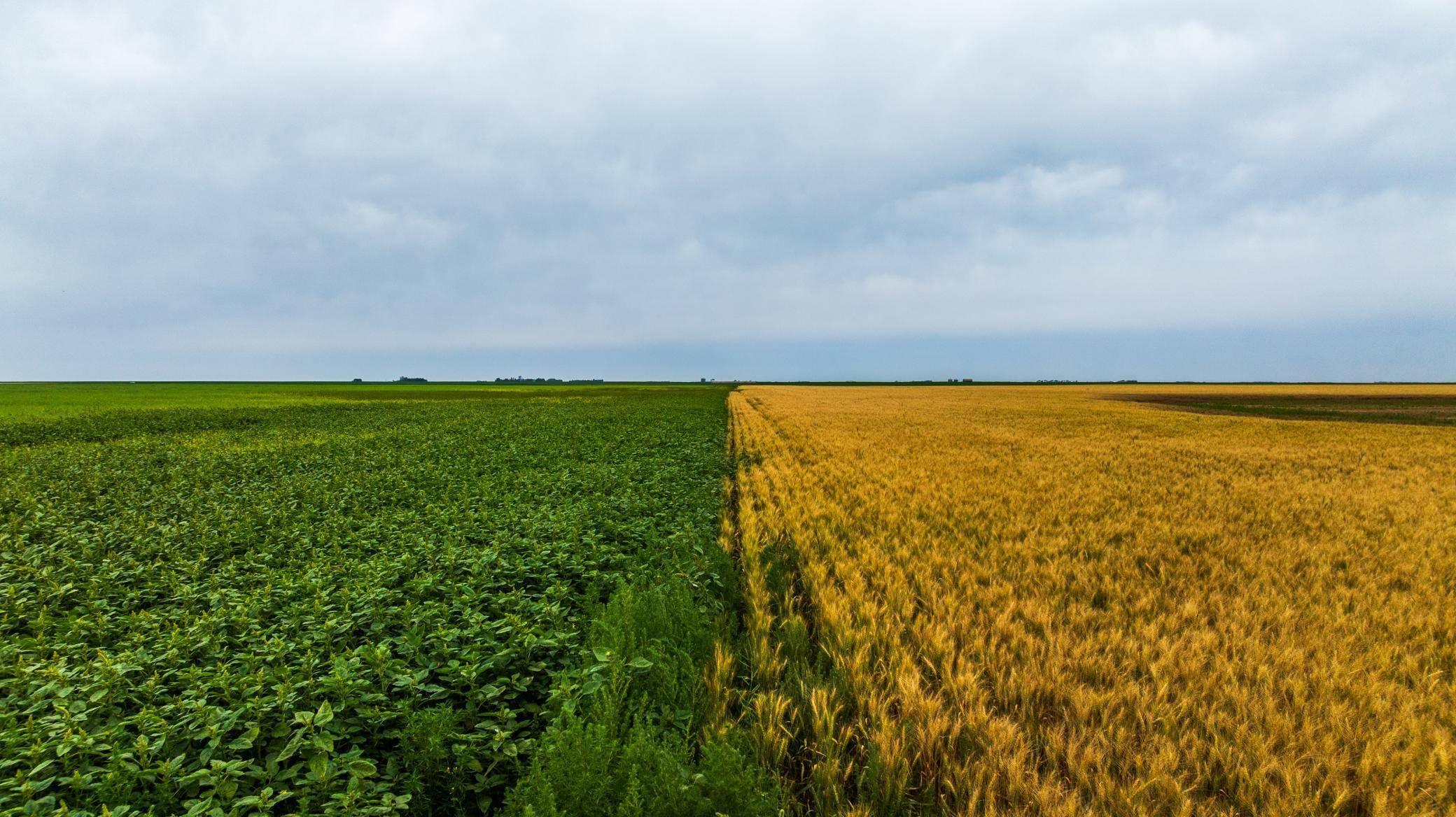 TBD 94 St NE, Bottineau, ND 58318
