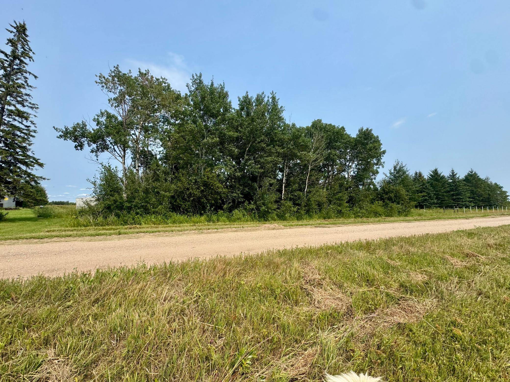 26571 260th ST, Badger, MN 56714