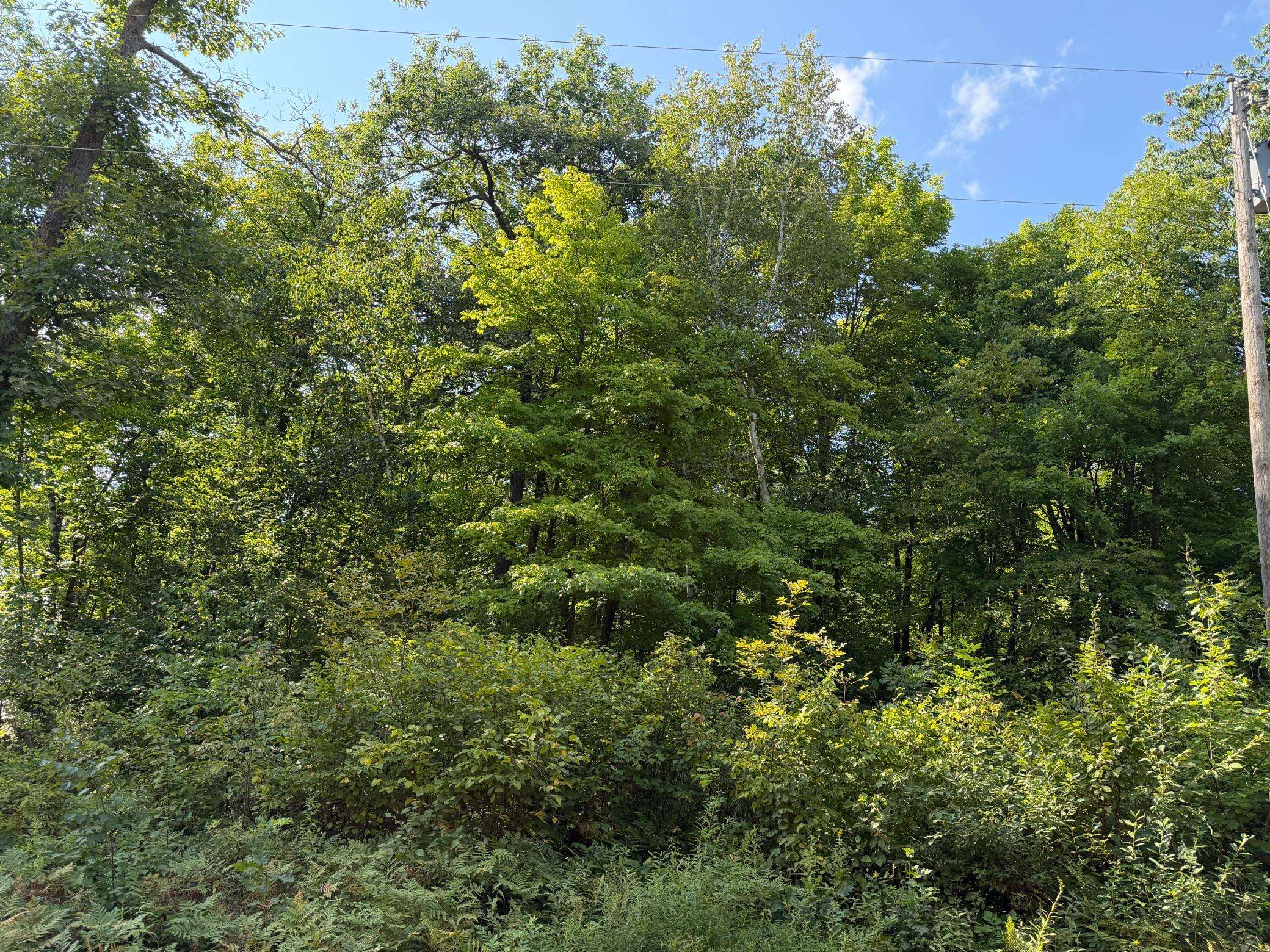 25XXX Eagle Ridge RD, Aitkin, MN 56431