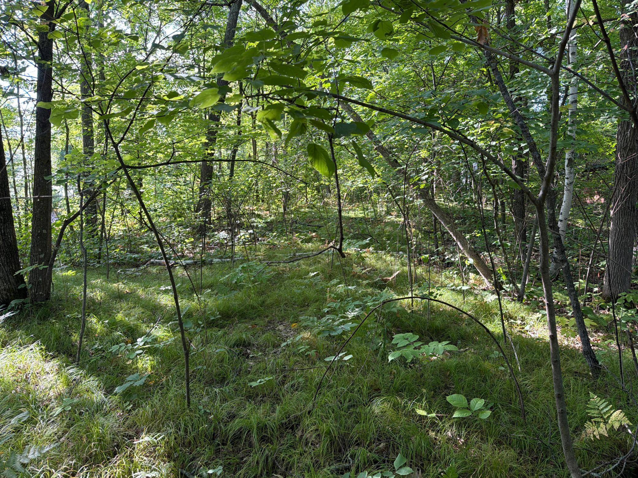 25XXX Eagle Ridge RD, Aitkin, MN 56431