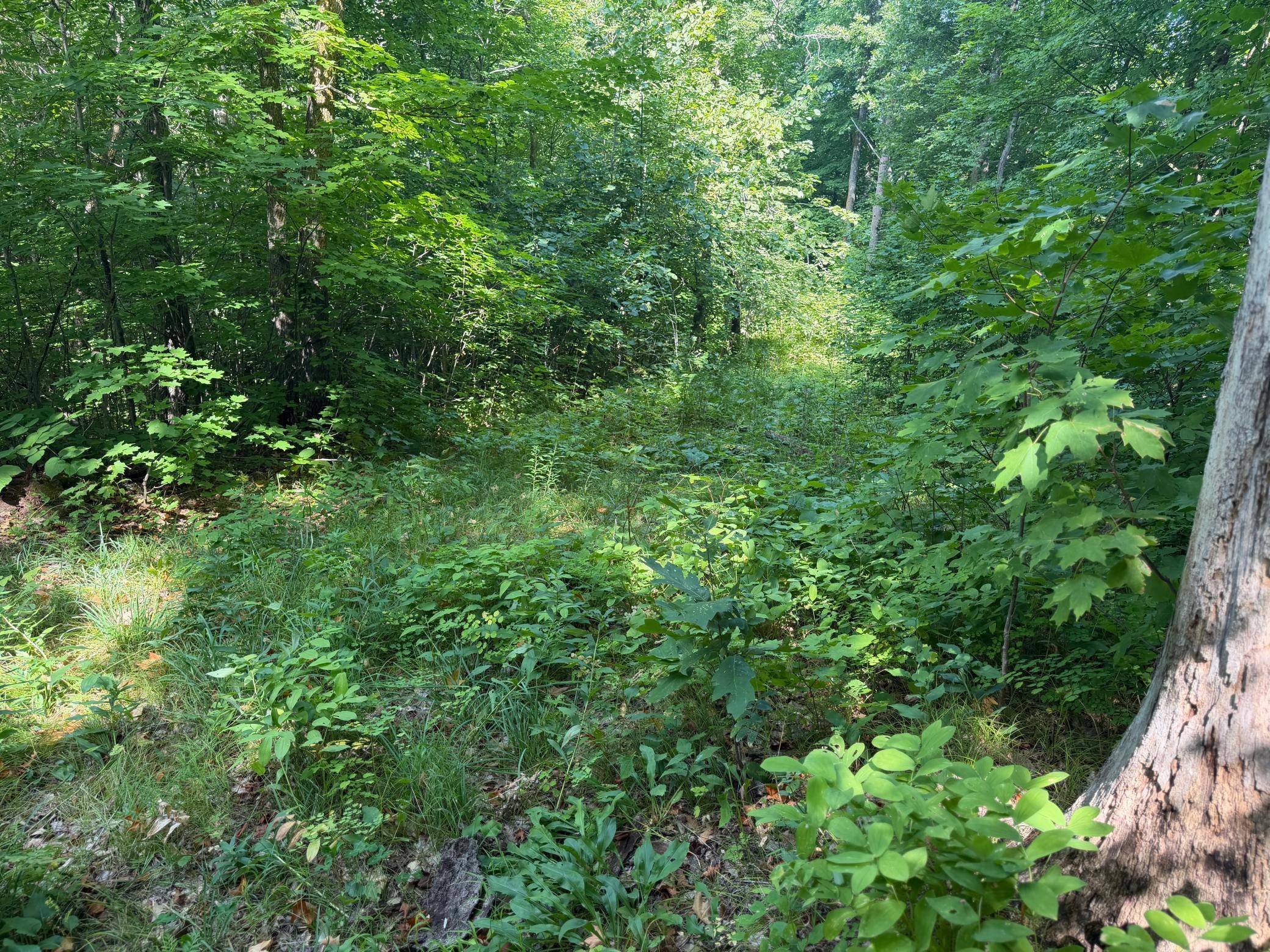 TBD S Tulaby Lake LN, Waubun, MN 56589