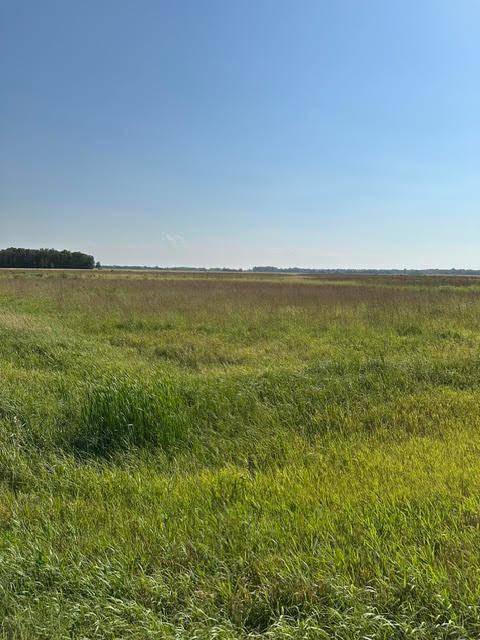 TBD 140th St. NE, Thief River Falls, MN 56701