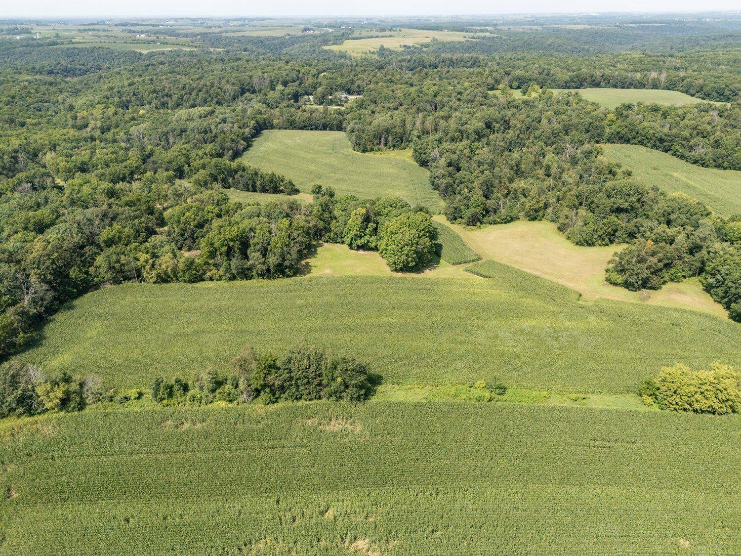 TBD Deer Rd, Canton, MN 55922