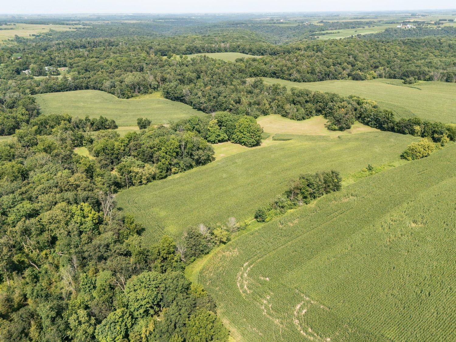 TBD Deer Rd, Canton, MN 55922