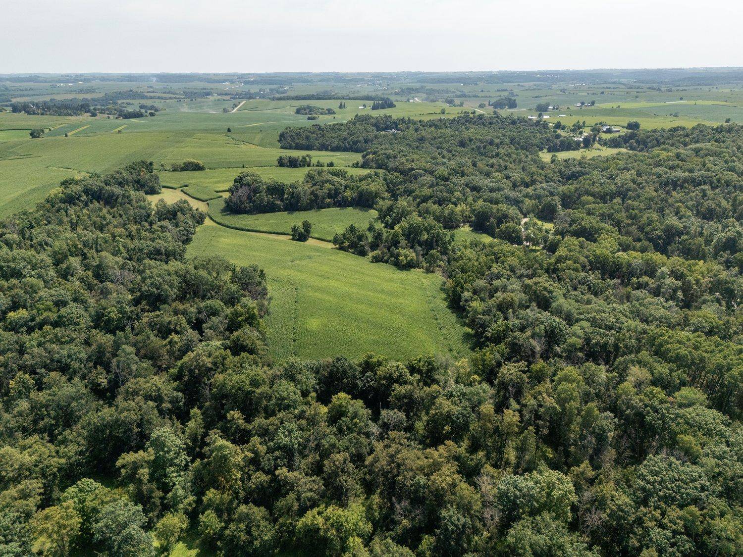 TBD Deer Rd, Canton, MN 55922