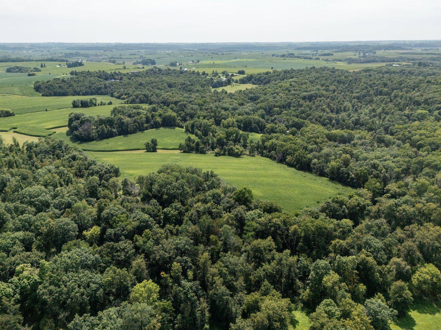 TBD Deer Rd, Canton, MN 55922