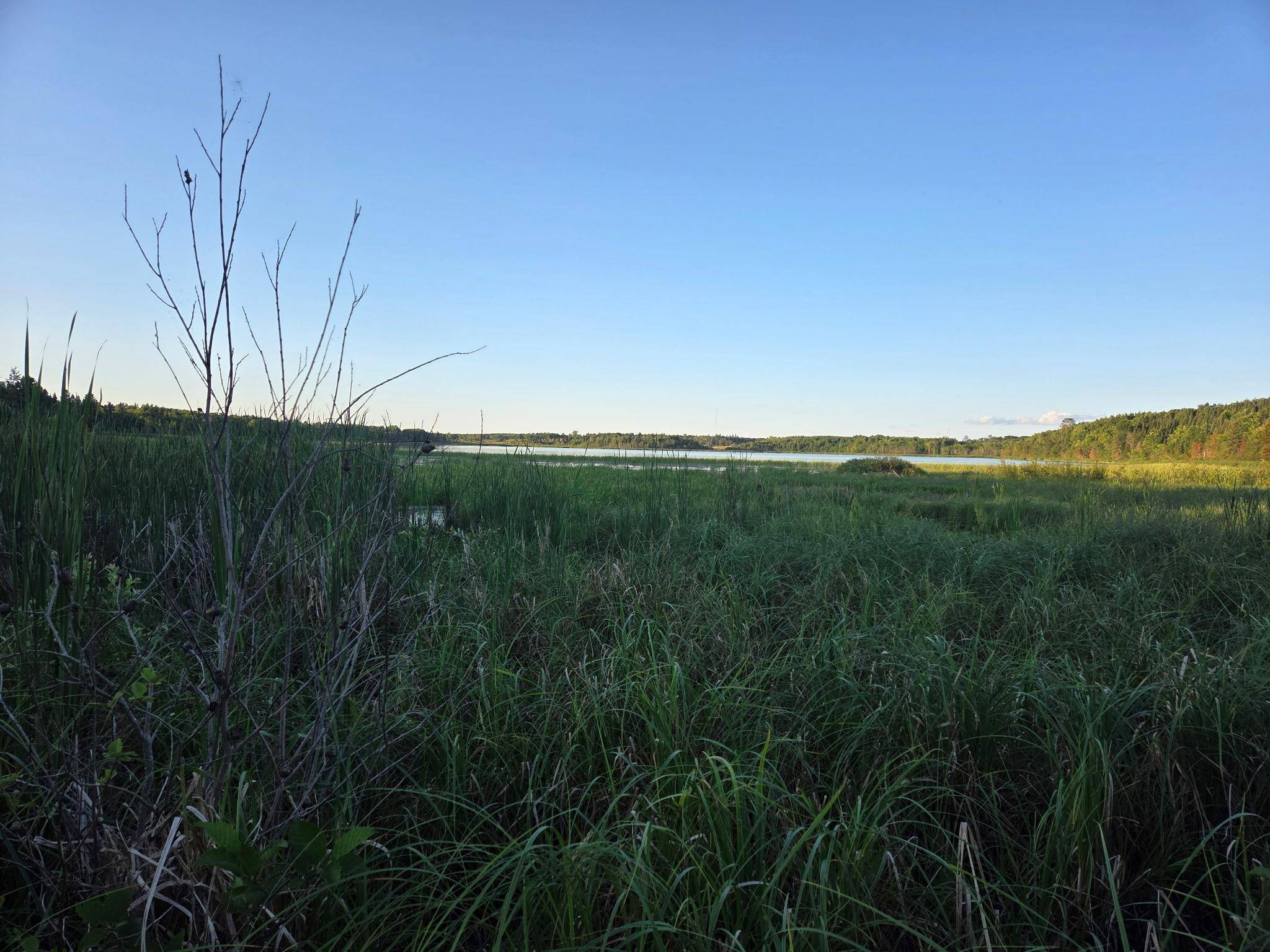 TBD lot 3 190th ST, Bagley, MN 56621