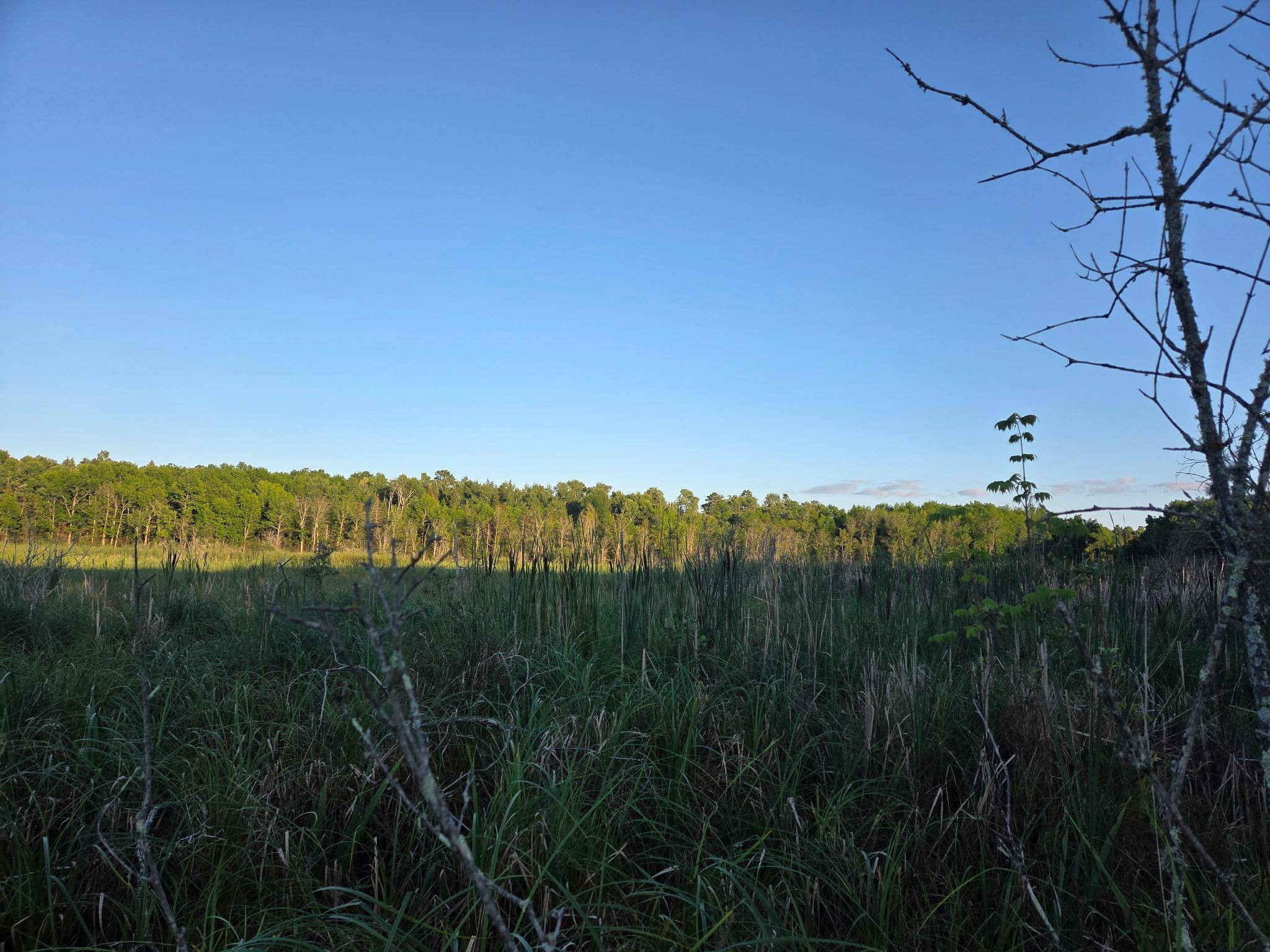 TBD lot 3 190th ST, Bagley, MN 56621