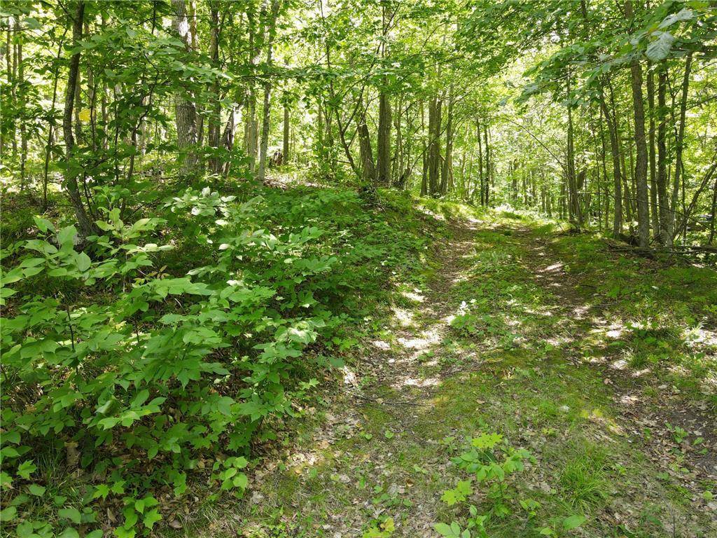 TBD IDAS ROAD, Osage, MN 56570