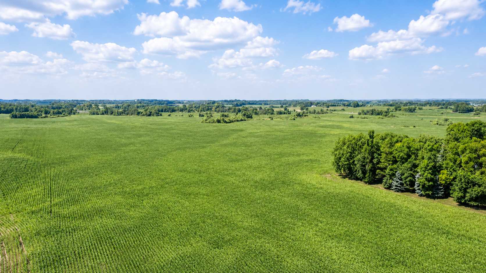 TBD 310th Avenue, Underwood, MN 56586