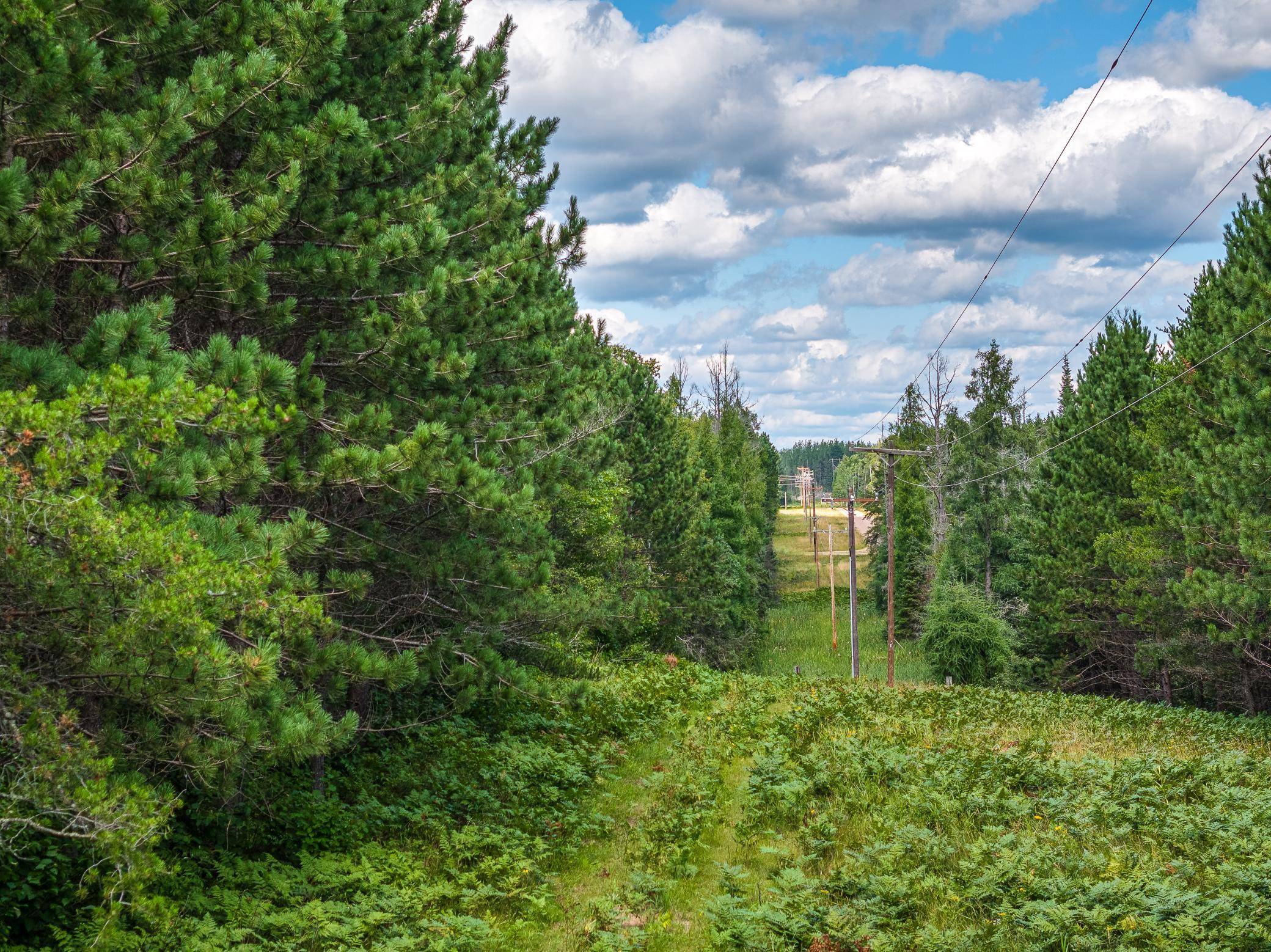 Tract C Hwy 21, Babbitt, MN 55706