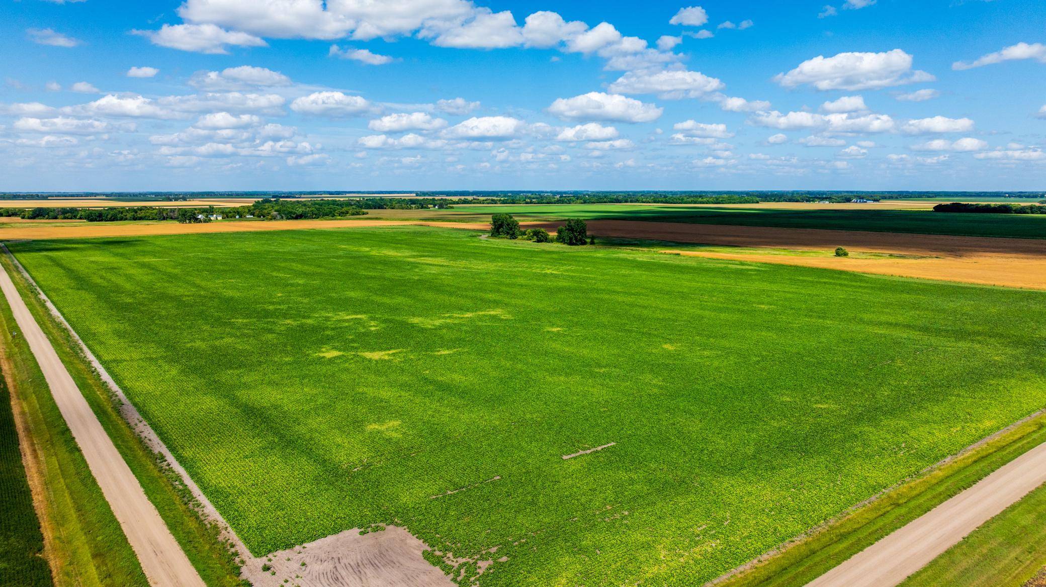 TBD 360 St NW, Argyle, MN 56713