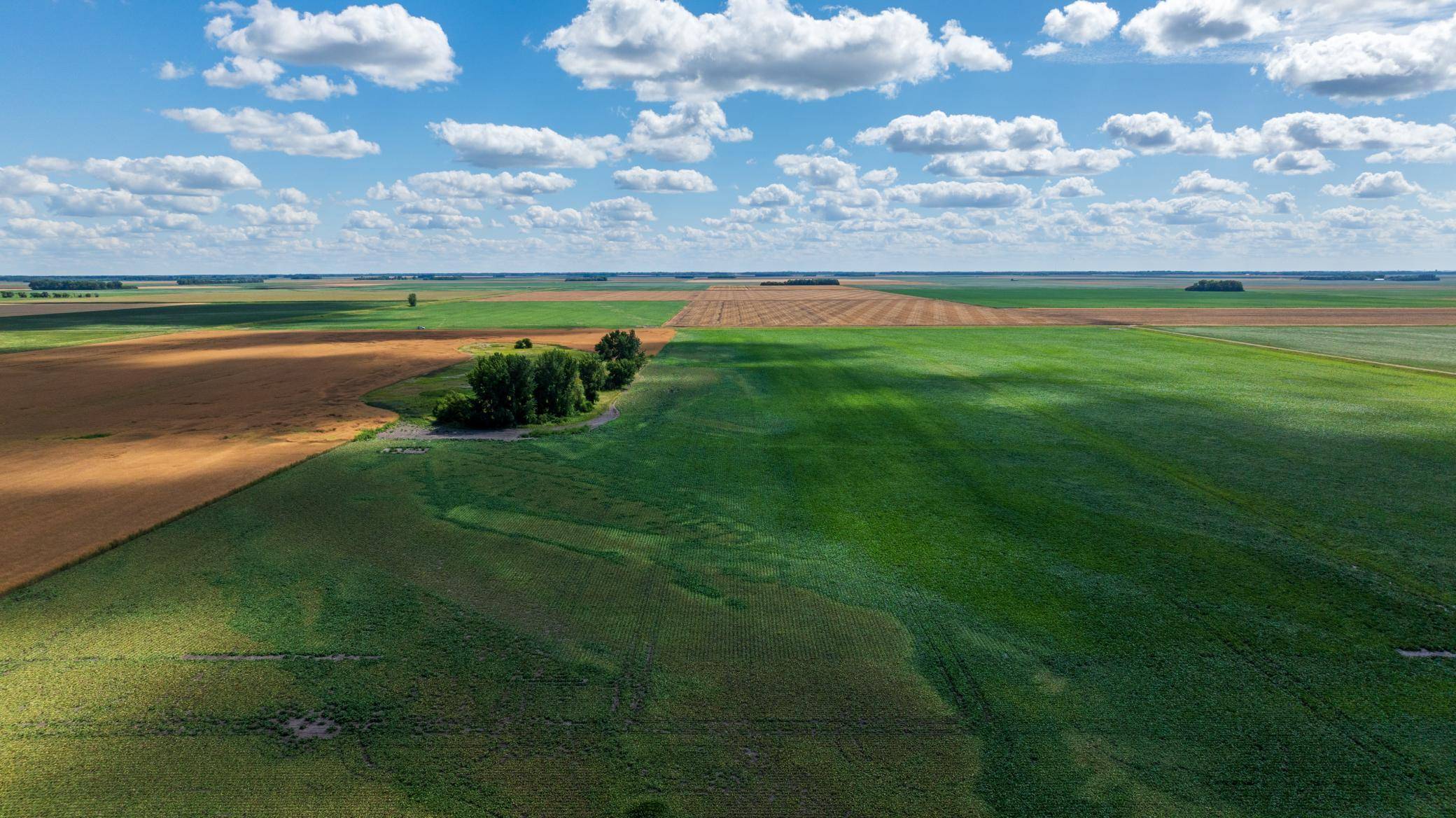 TBD 360 St NW, Argyle, MN 56713