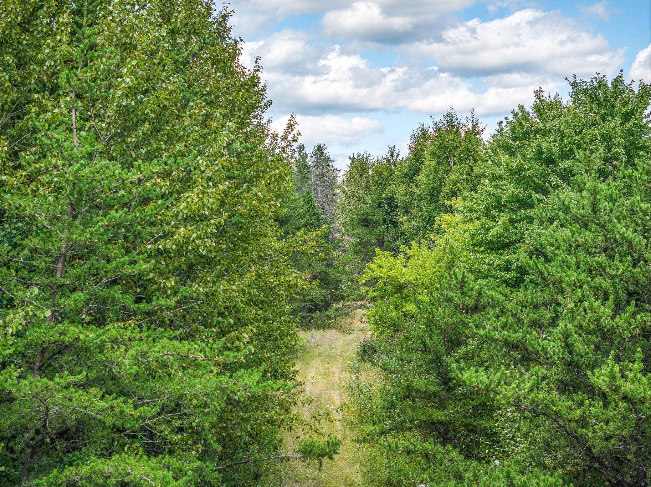 Tract D Highway 21, Babbitt, MN 55706