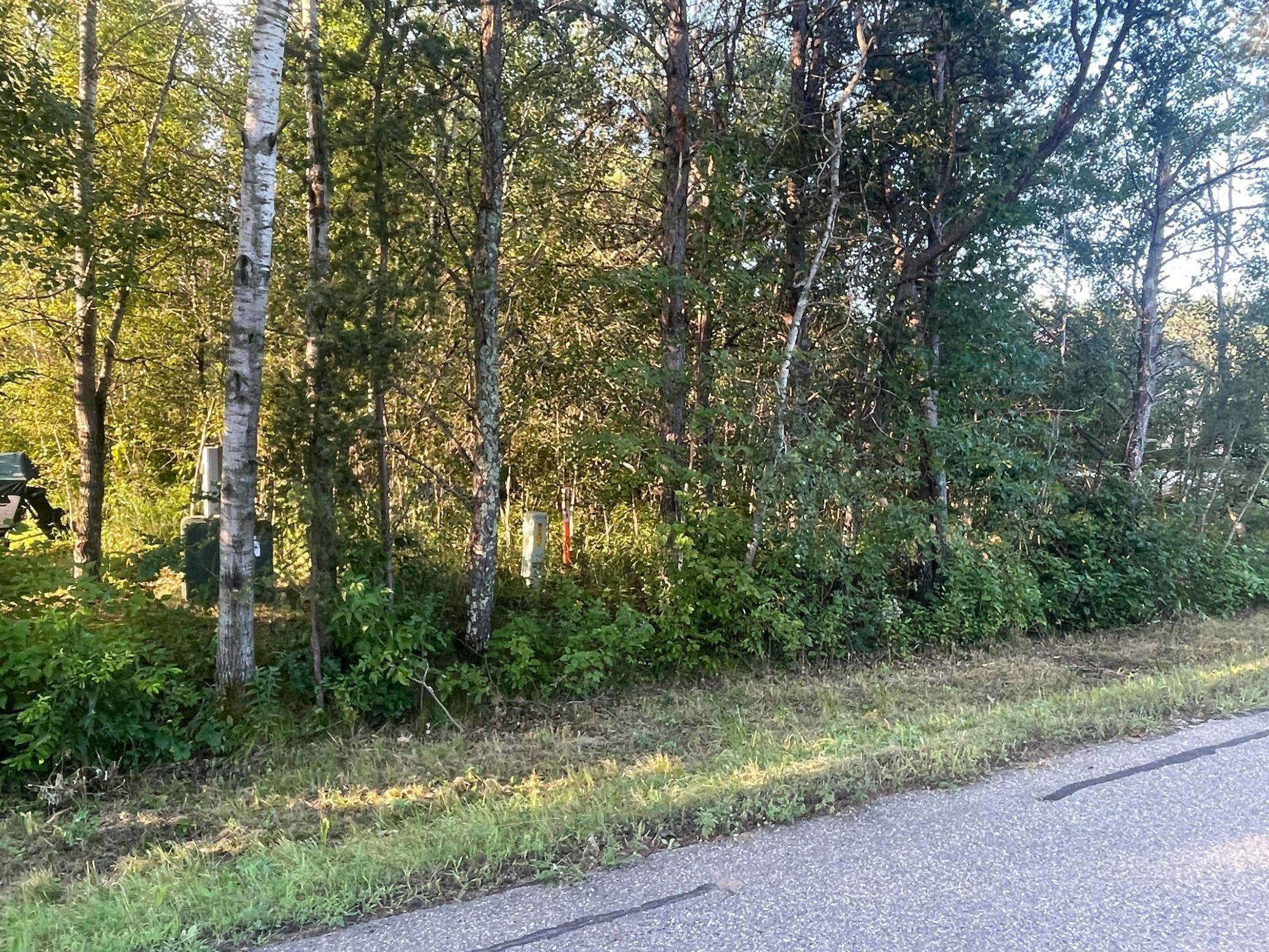 TBD Crow Wing Circle SW, Pillager, MN 56473