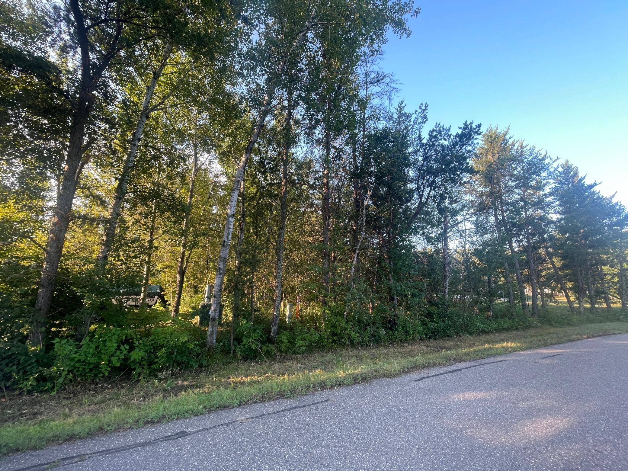 TBD Crow Wing Circle SW, Pillager, MN 56473