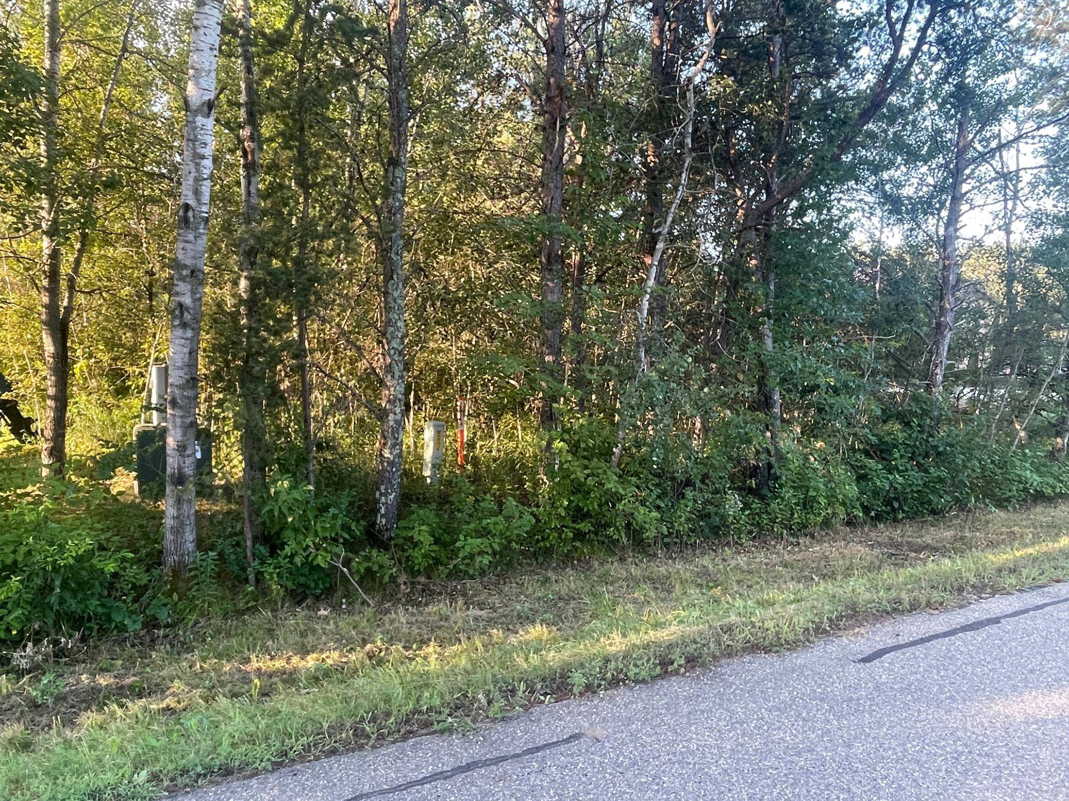 TBD Crow Wing Circle SW, Pillager, MN 56473