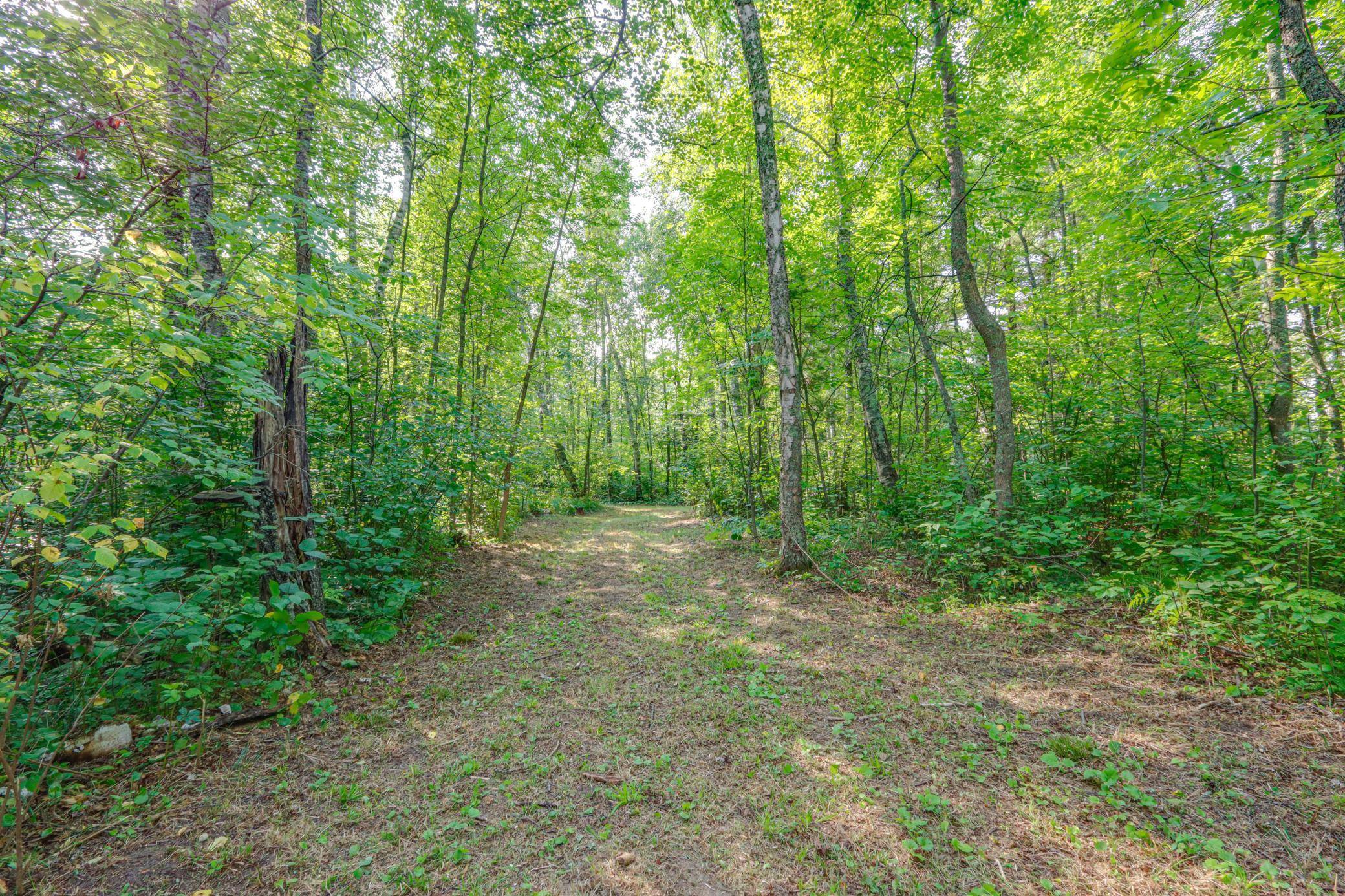 46823 Hartley Lake RD, Bovey, MN 55709