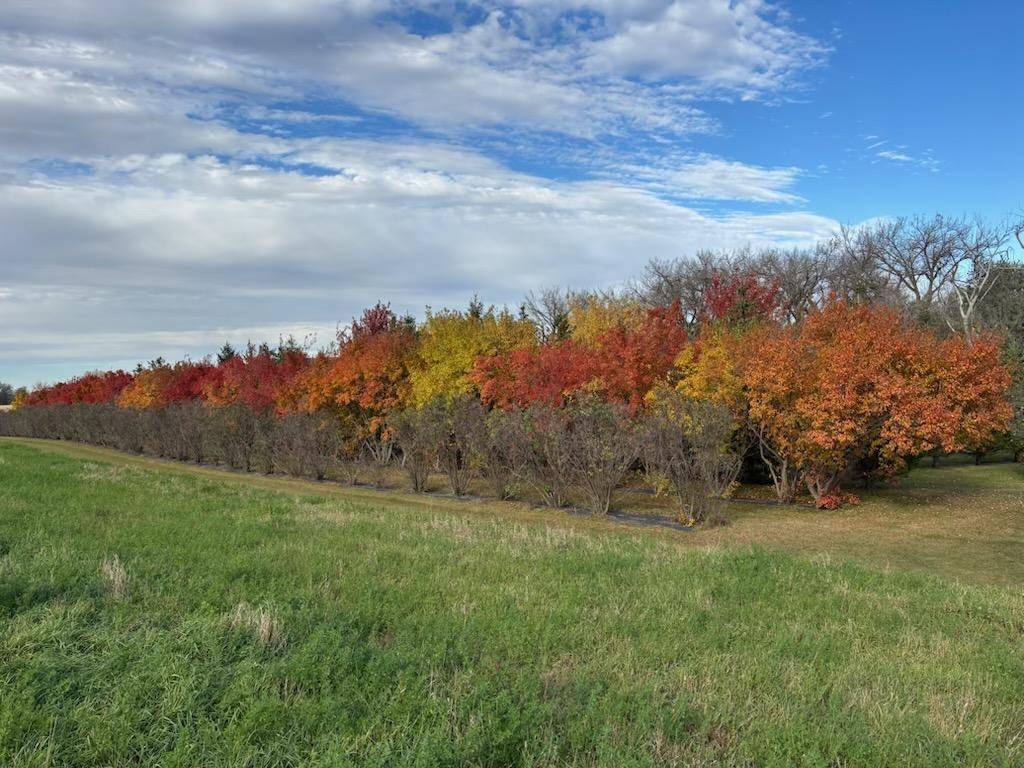 48479 Baileys Bay RD, Big Stone City, SD 57216