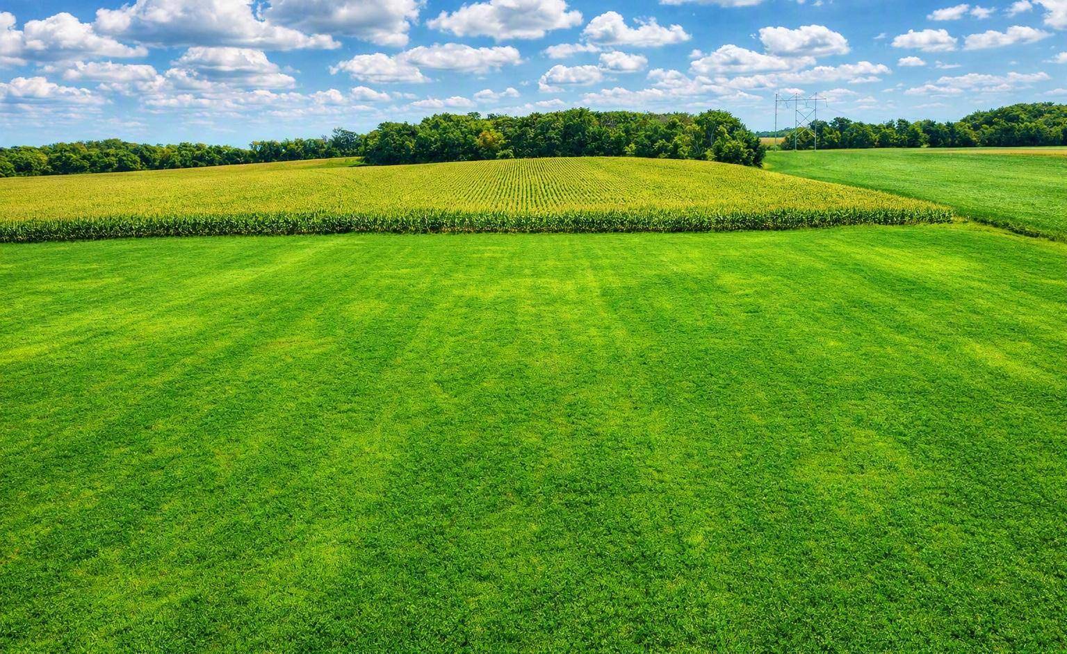 TBD Nicolai AVE, Hastings, MN 55033