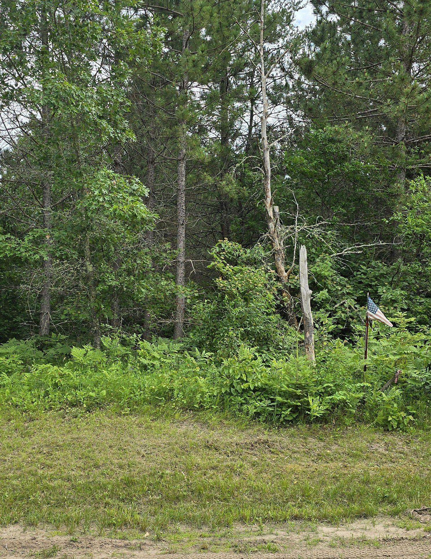 30945 Vahalla LN, Cass Lake, MN 56633