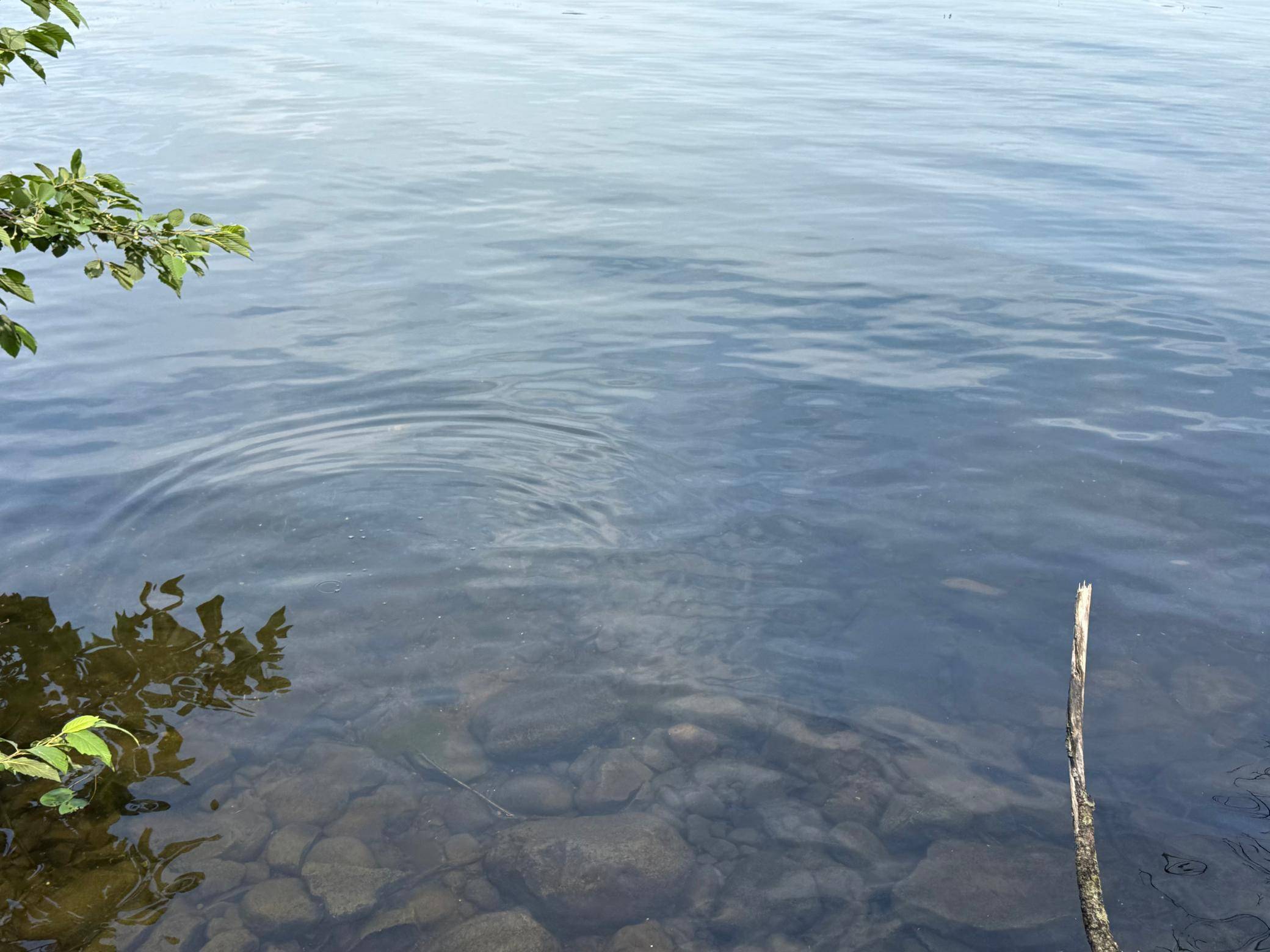 TBD2 Long Lake RD, Stone Lake, WI 54876