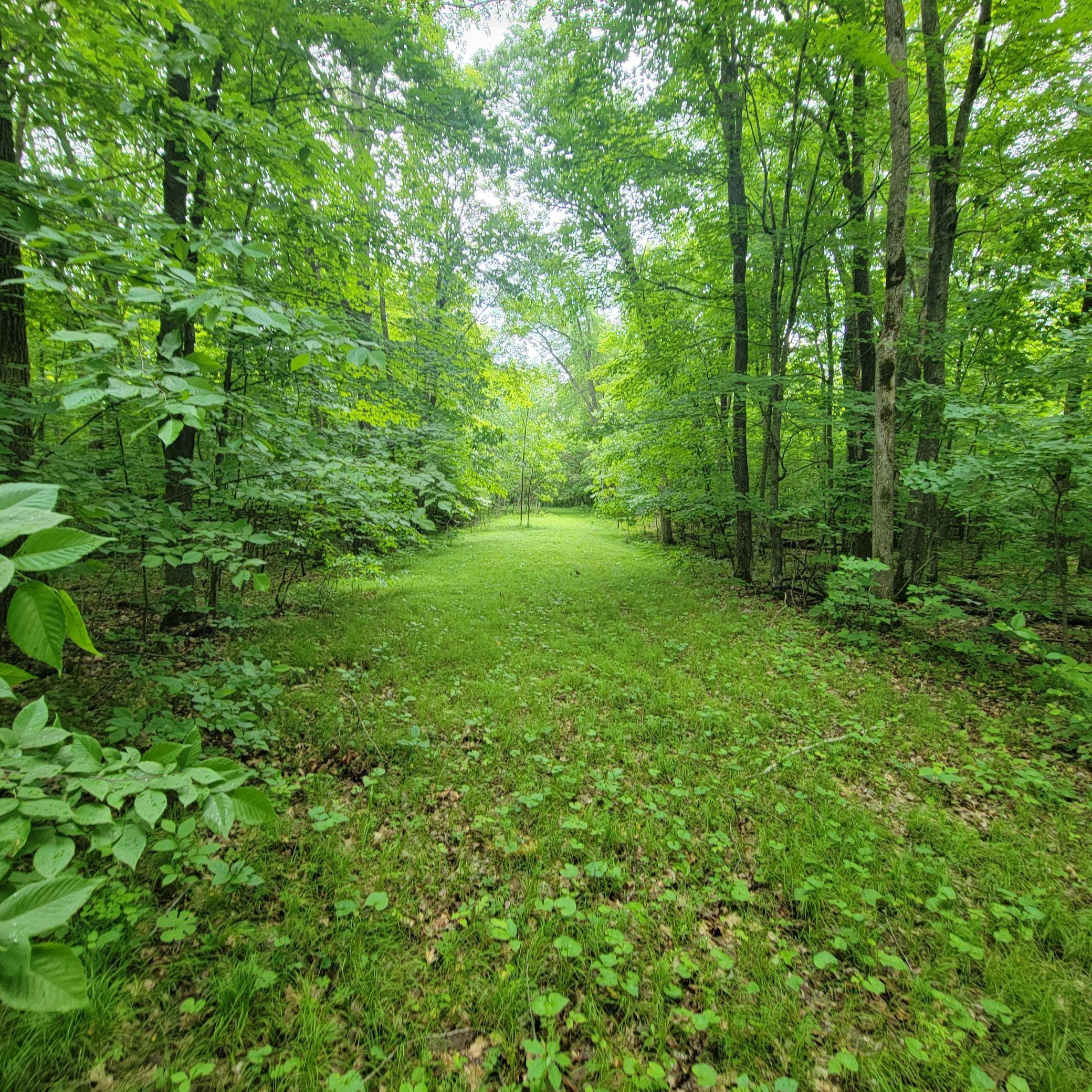 TBD 355th ST, Richville, MN 56576
