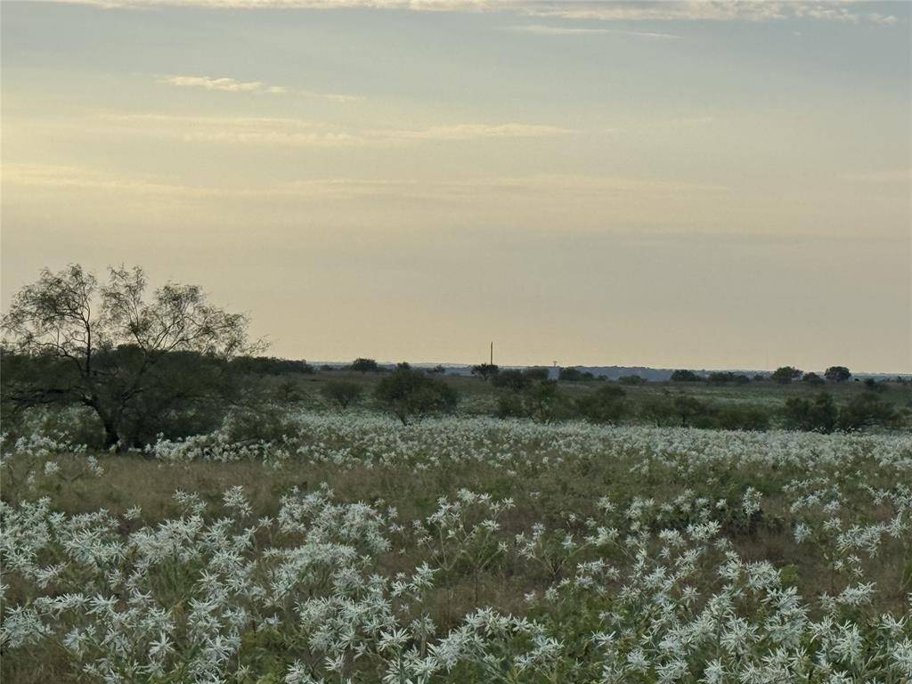 173 Private Road 4512, Decatur, TX 76234