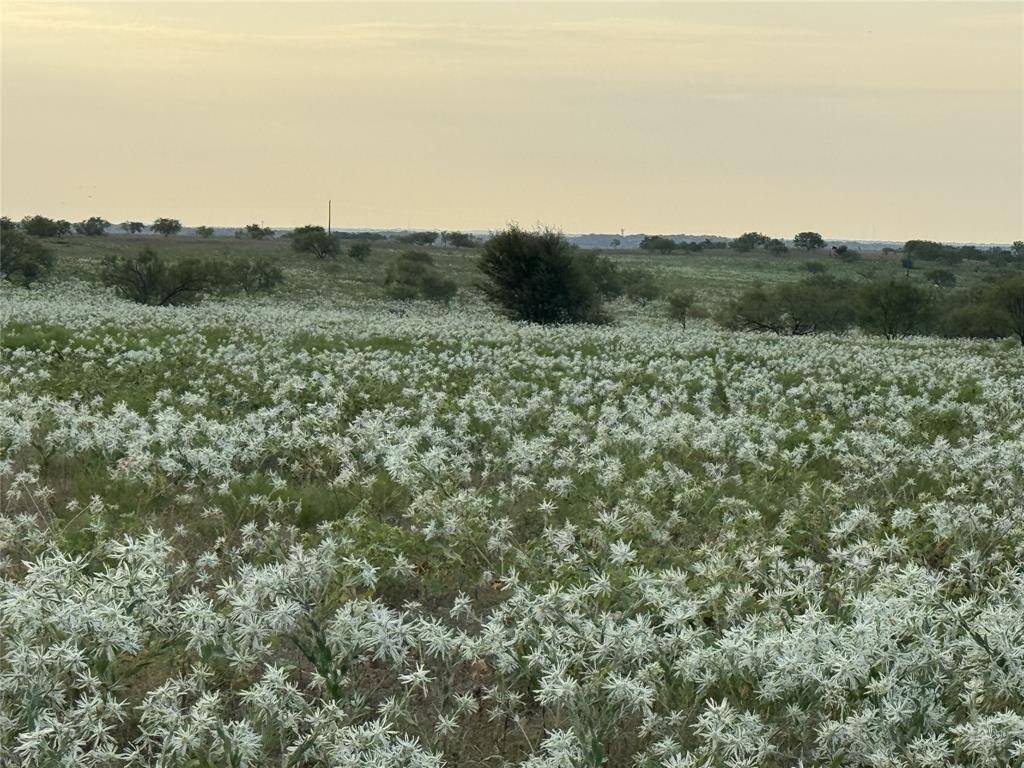 173 Private Road 4512, Decatur, TX 76234