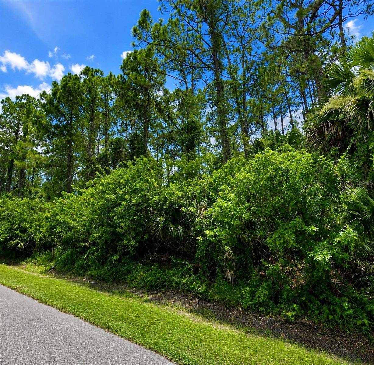 BELLADONNA AVE, North Port, FL 34286