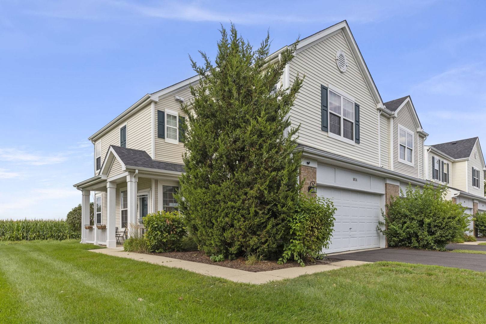 161 Willoughby CT #A, Yorkville, IL 60560