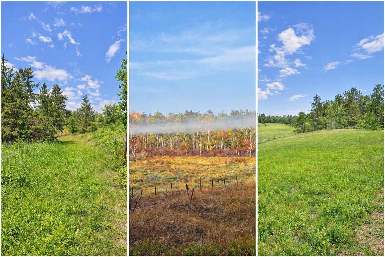 TBD County Road 134, Pine River, MN 56474