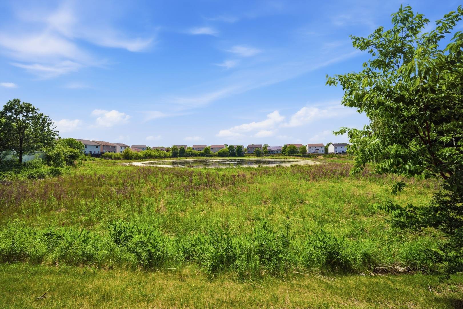 843 Brahms RD, Volo, IL 60073