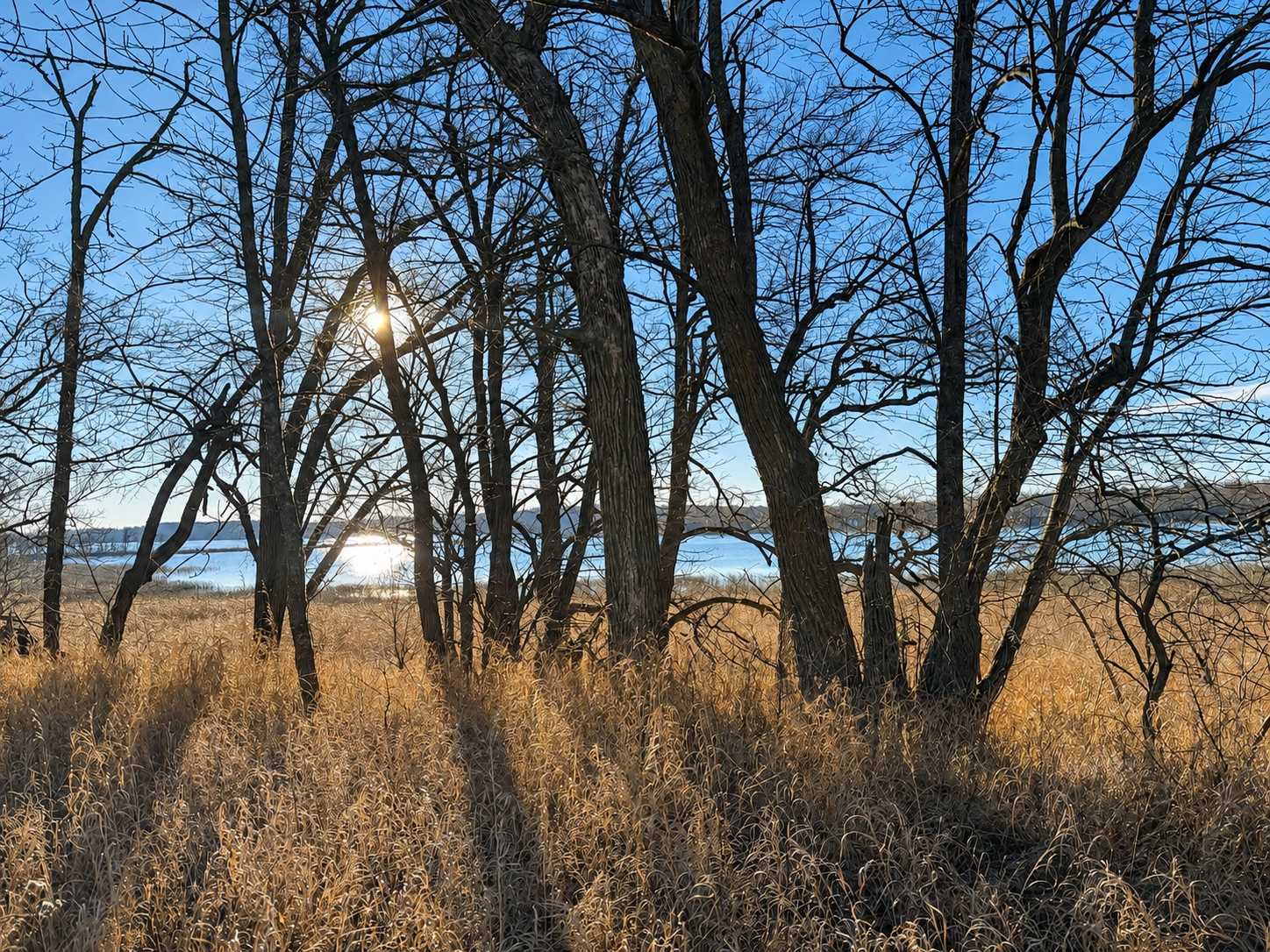 TBD Leaf River Road, Ottertail, MN 56571