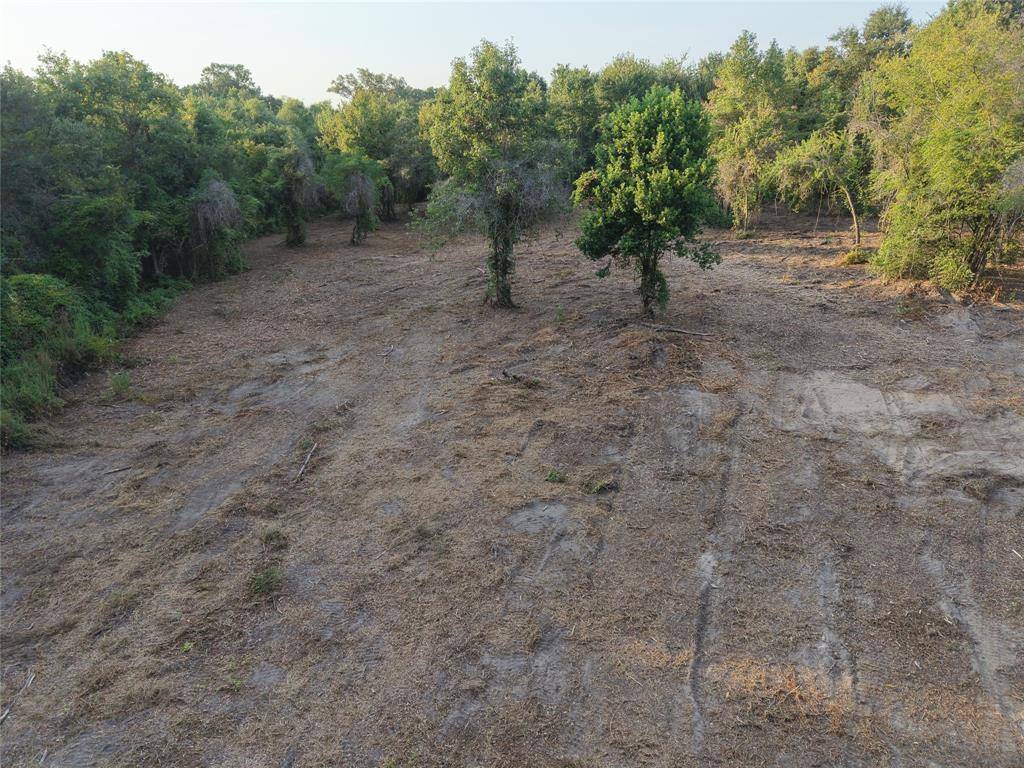 TBD County Rd 3211, Pittsburg, TX 75686