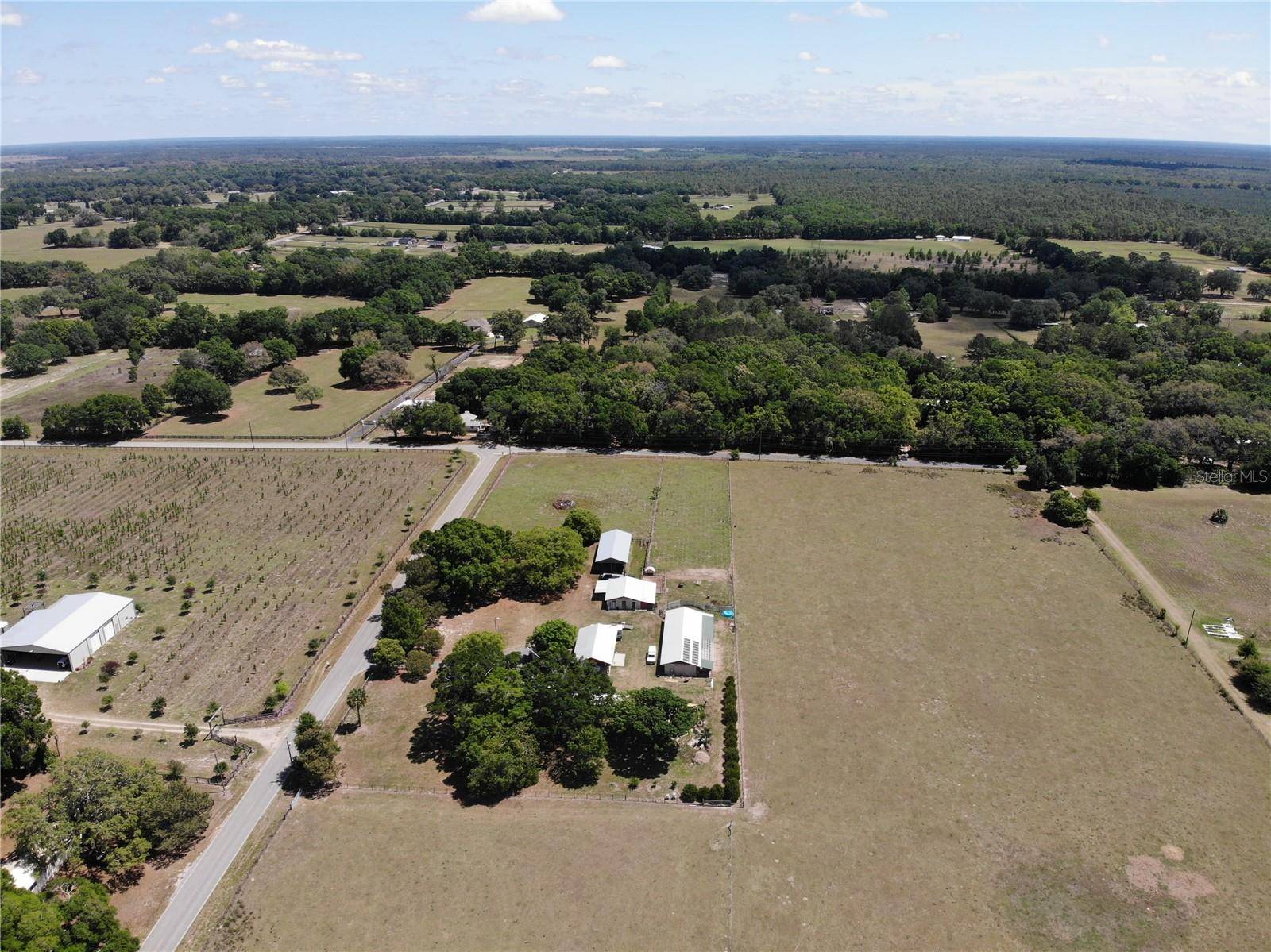 3650 NE 95TH ST, Anthony, FL 32617