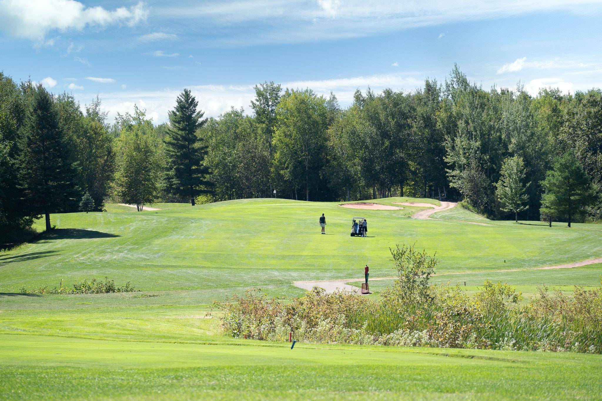 TBD Lot 11 Blk 4 Pine Tree LN, Coleraine, MN 55722