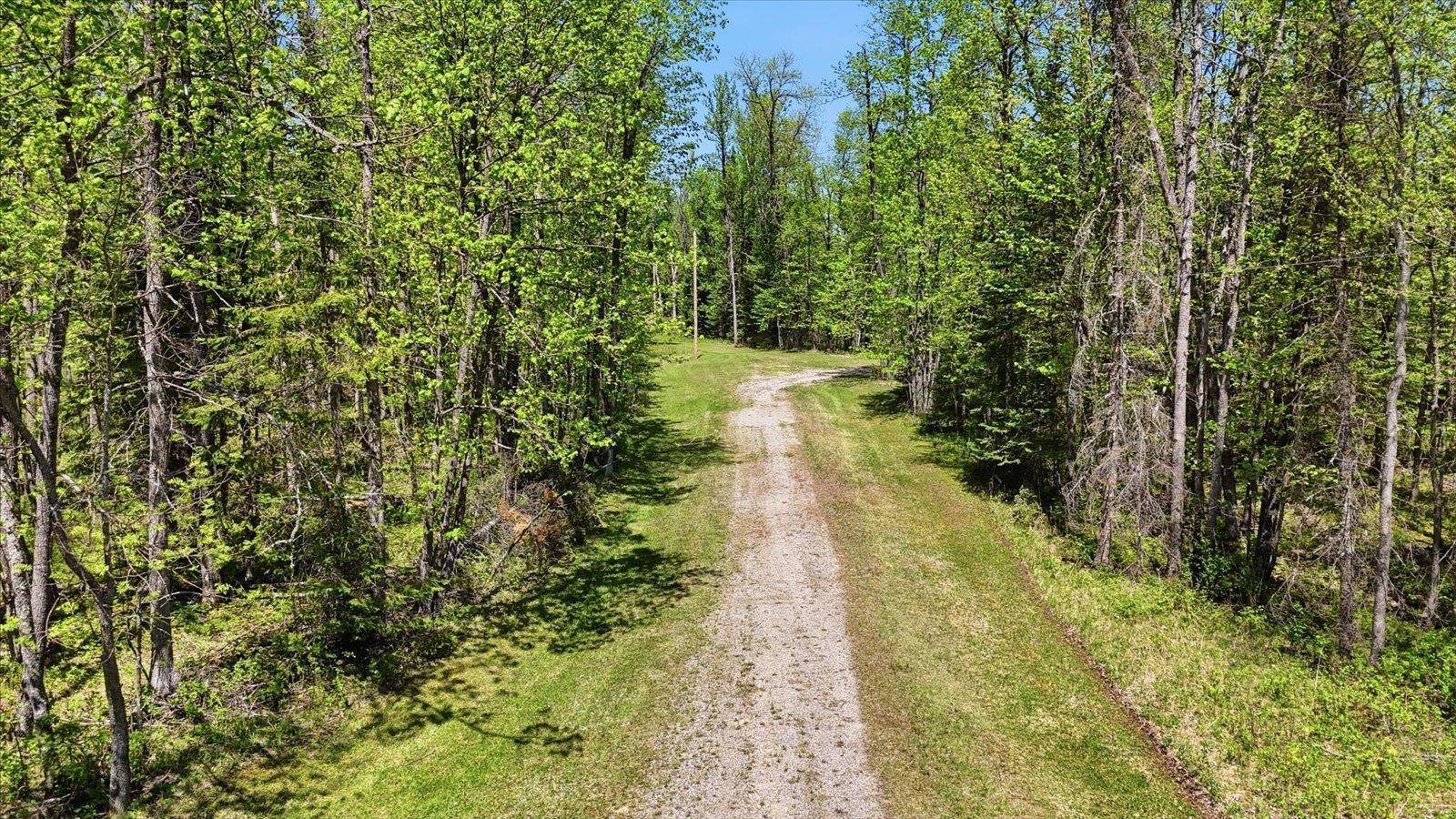 TBD Cedar Point Road, Marcell, MN 56657