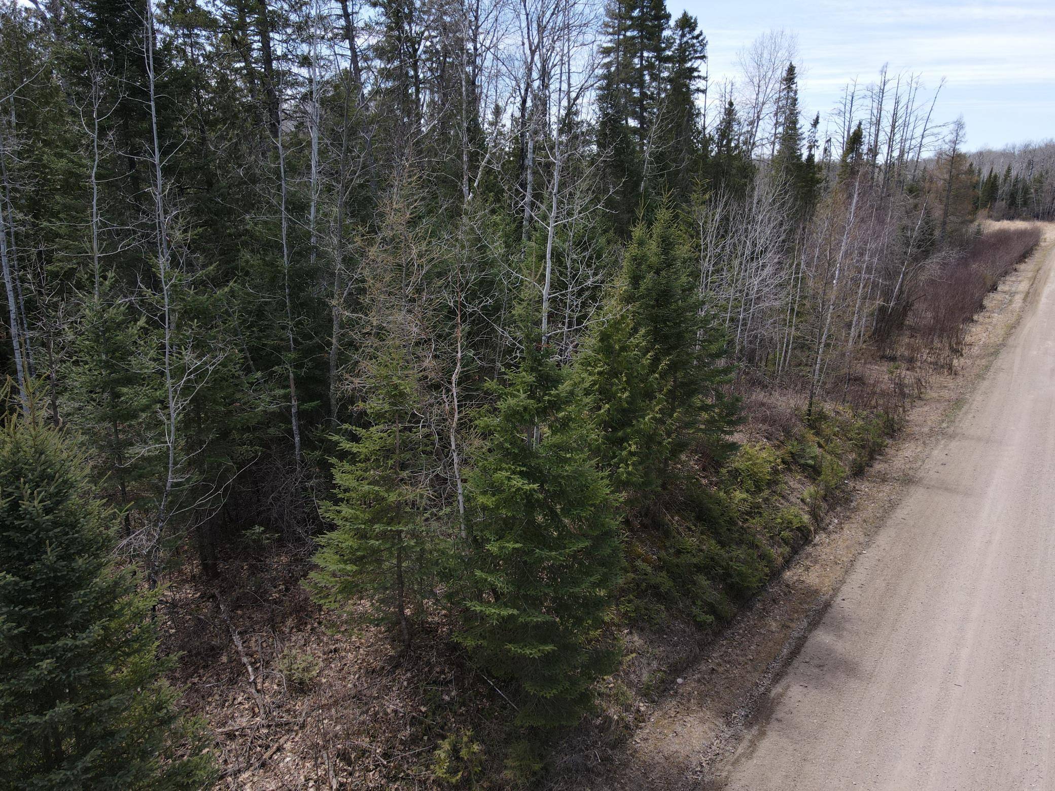 TBD CO Rd 40, Effie, MN 56639